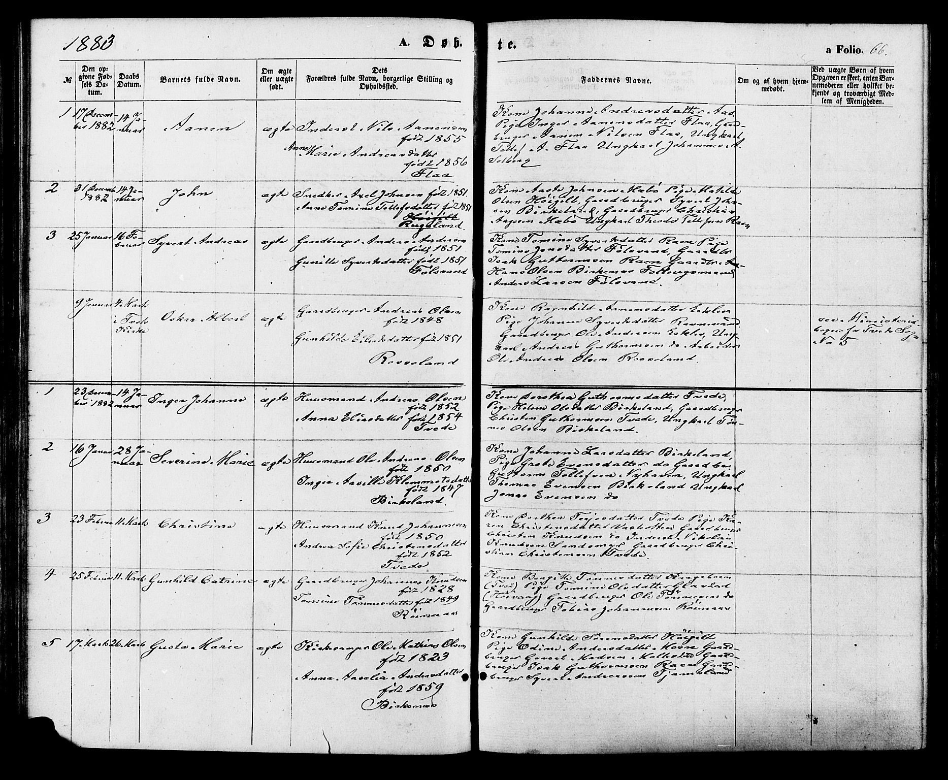 Birkenes sokneprestkontor, AV/SAK-1111-0004/F/Fa/L0004: Parish register (official) no. A 4, 1867-1886, p. 66