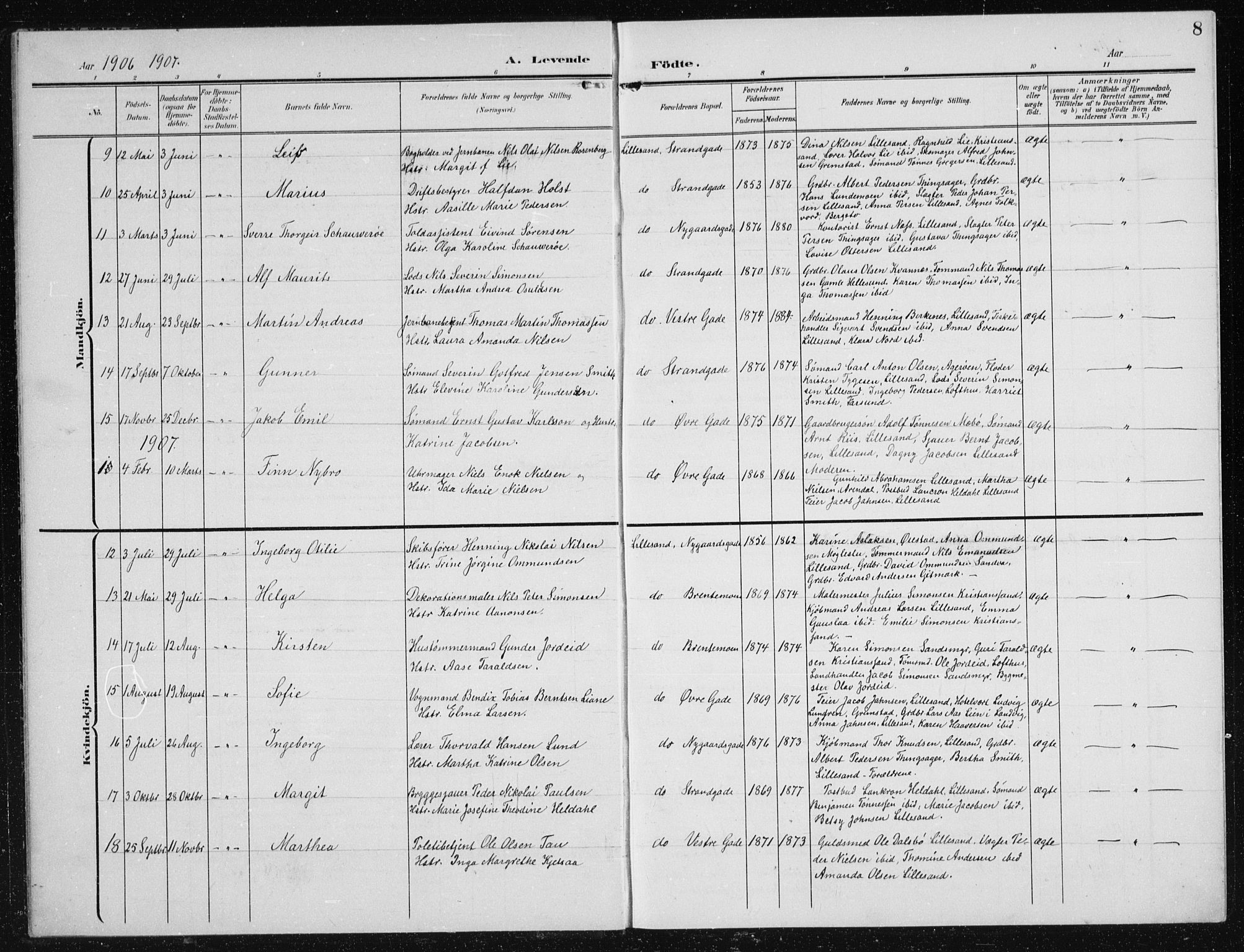 Vestre Moland sokneprestkontor, AV/SAK-1111-0046/F/Fb/Fba/L0002: Parish register (copy) no. B 2, 1904-1934, p. 8