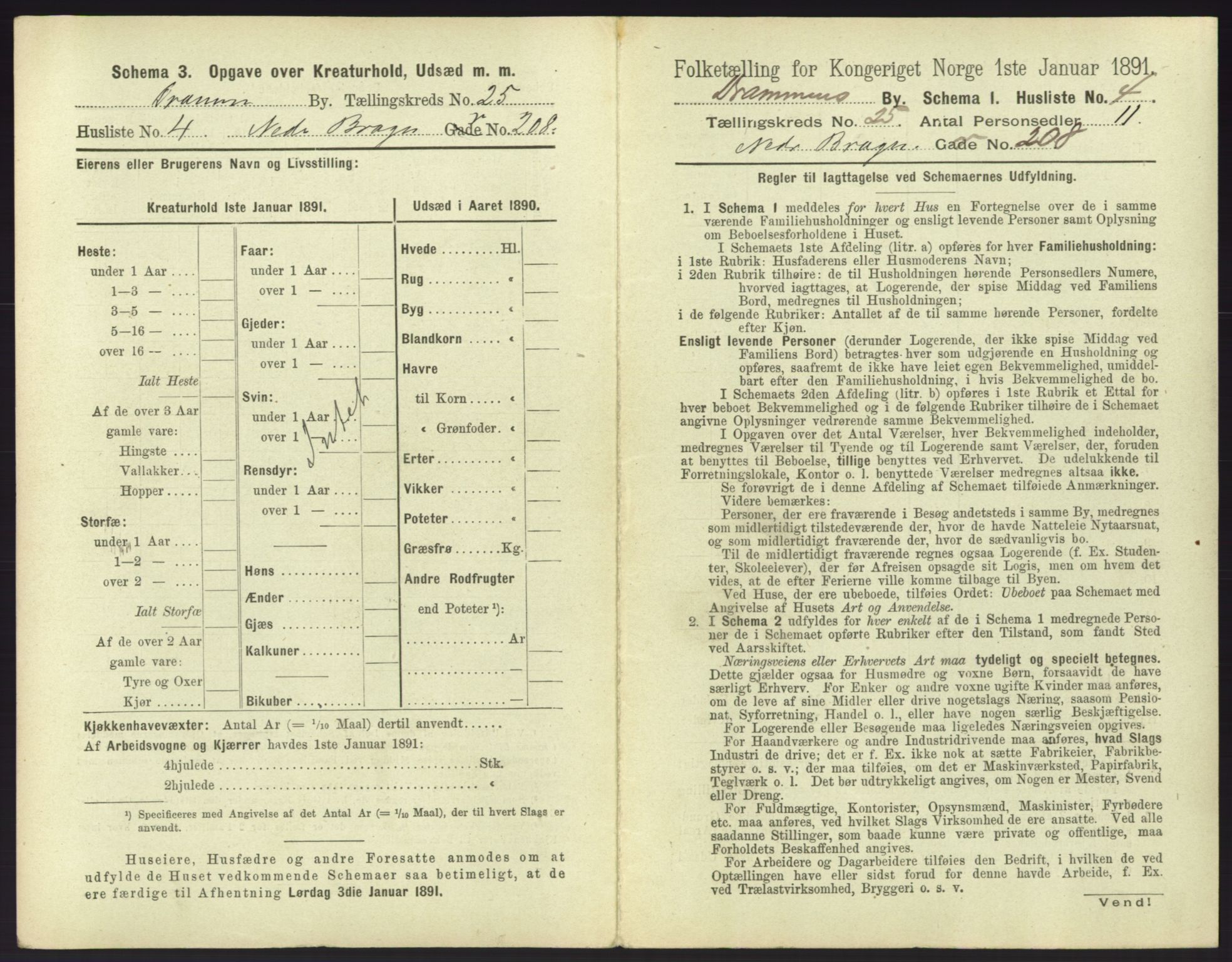 RA, 1891 census for 0602 Drammen, 1891, p. 2081