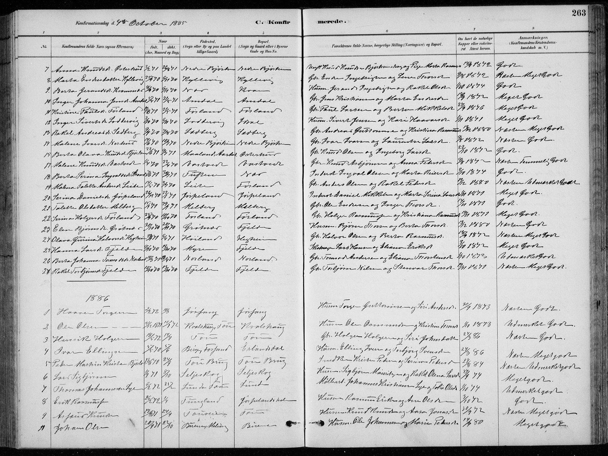 Strand sokneprestkontor, AV/SAST-A-101828/H/Ha/Hab/L0004: Parish register (copy) no. B 4, 1878-1903, p. 263