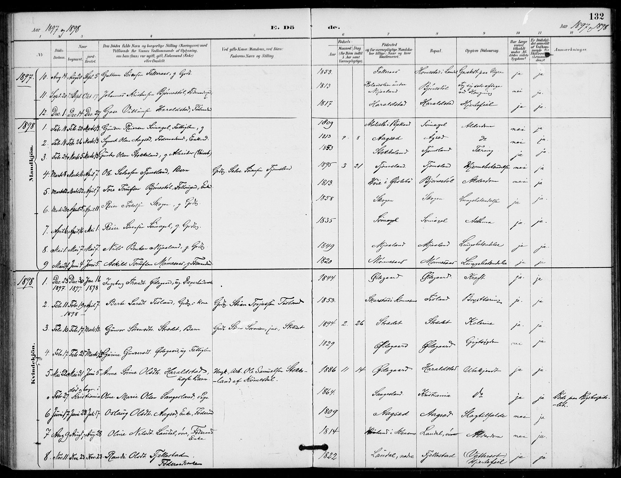 Holum sokneprestkontor, AV/SAK-1111-0022/F/Fa/Fab/L0007: Parish register (official) no. A 7, 1887-1912, p. 132