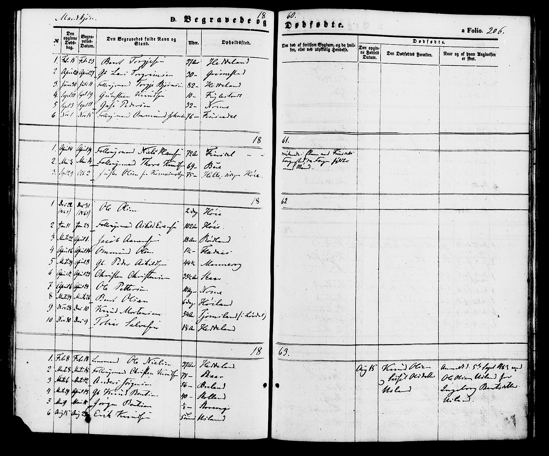 Holum sokneprestkontor, SAK/1111-0022/F/Fa/Fac/L0003: Parish register (official) no. A 3, 1860-1883, p. 206