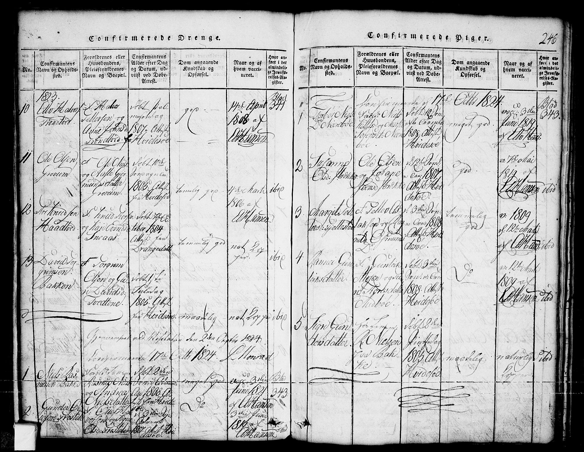 Nissedal kirkebøker, SAKO/A-288/G/Ga/L0001: Parish register (copy) no. I 1, 1814-1860, p. 246