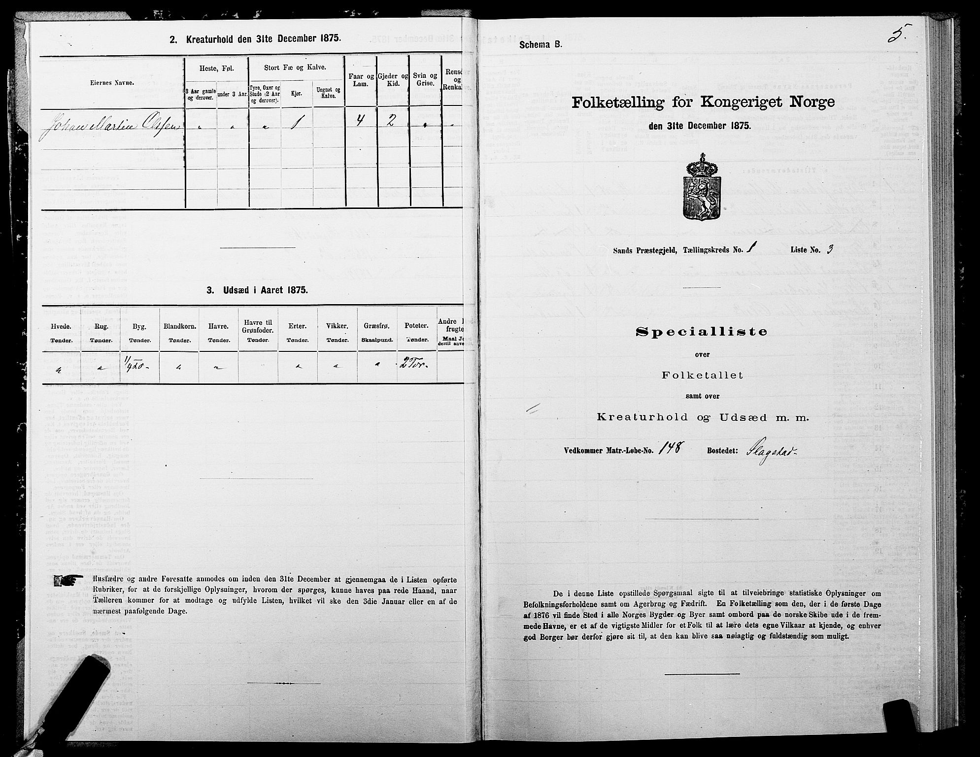 SATØ, 1875 census for 1915P Sand, 1875, p. 1005