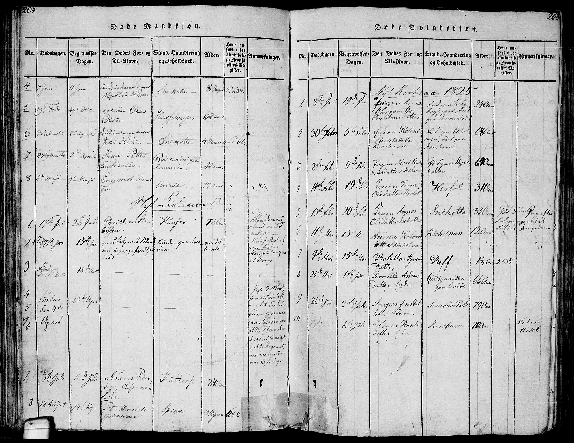 Hvaler prestekontor Kirkebøker, SAO/A-2001/F/Fa/L0005: Parish register (official) no. I 5, 1816-1845, p. 204-205