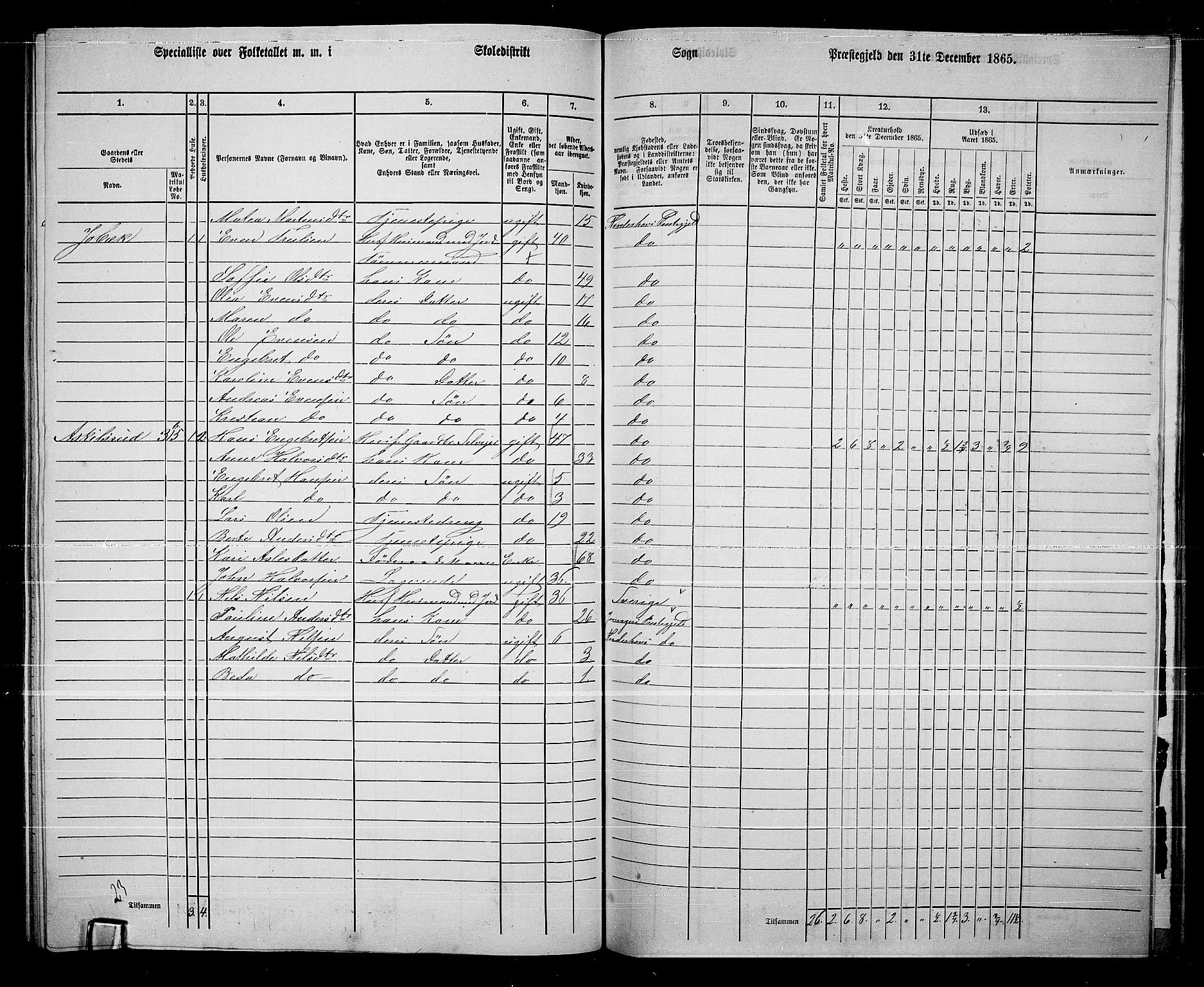 RA, 1865 census for Norderhov/Norderhov, Haug og Lunder, 1865, p. 263