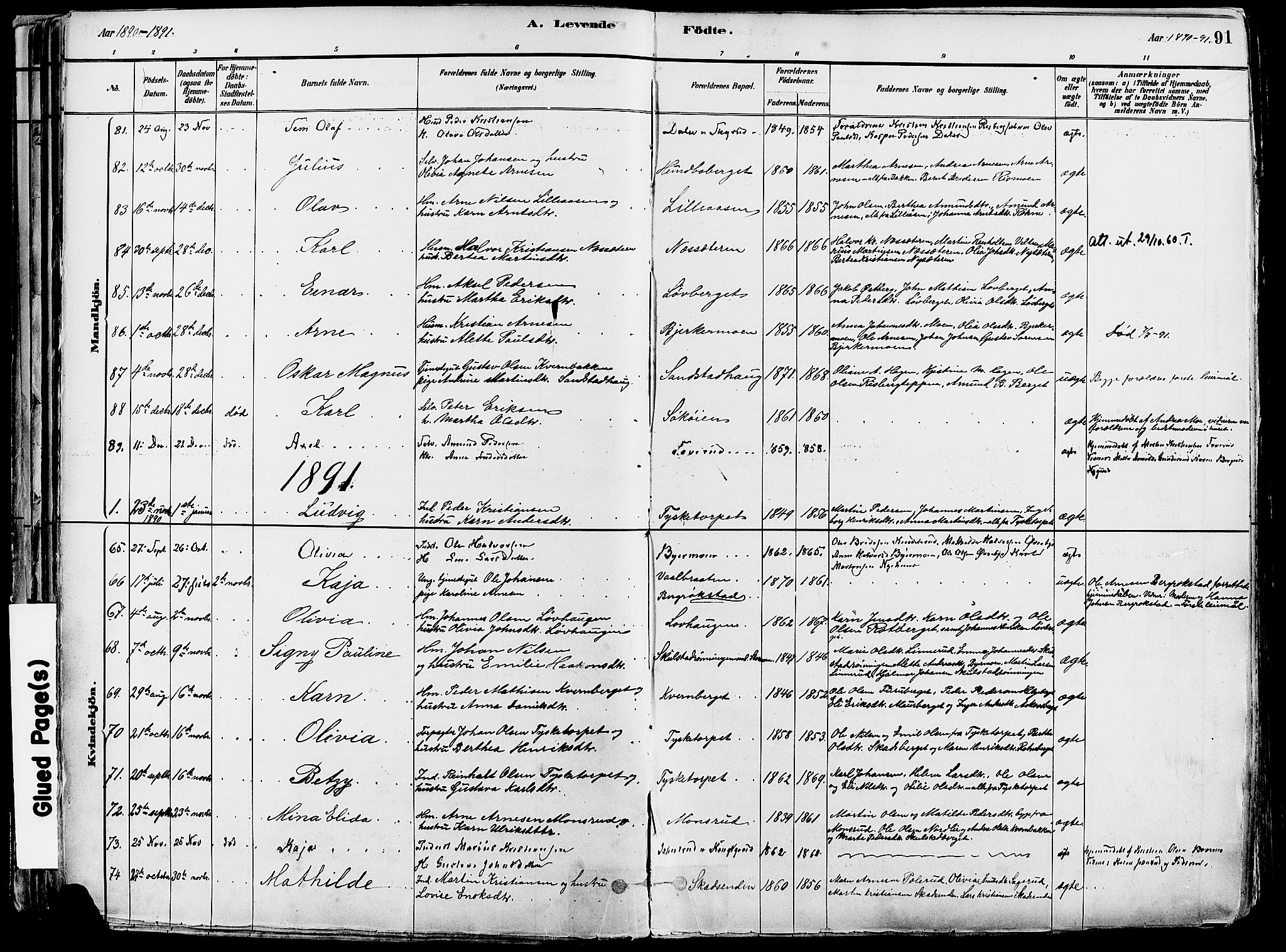 Grue prestekontor, SAH/PREST-036/H/Ha/Haa/L0012: Parish register (official) no. 12, 1881-1897, p. 91