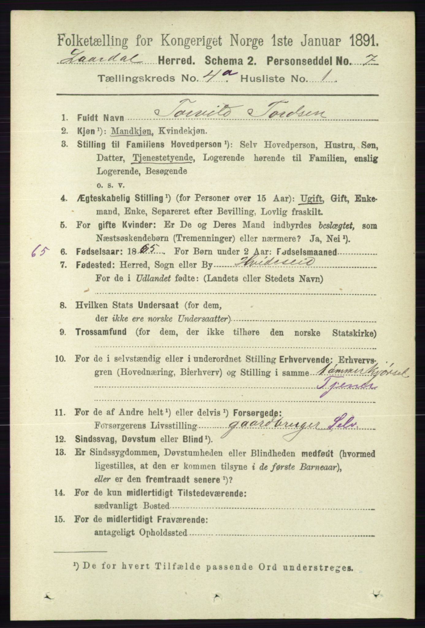 RA, 1891 census for 0833 Lårdal, 1891, p. 1031