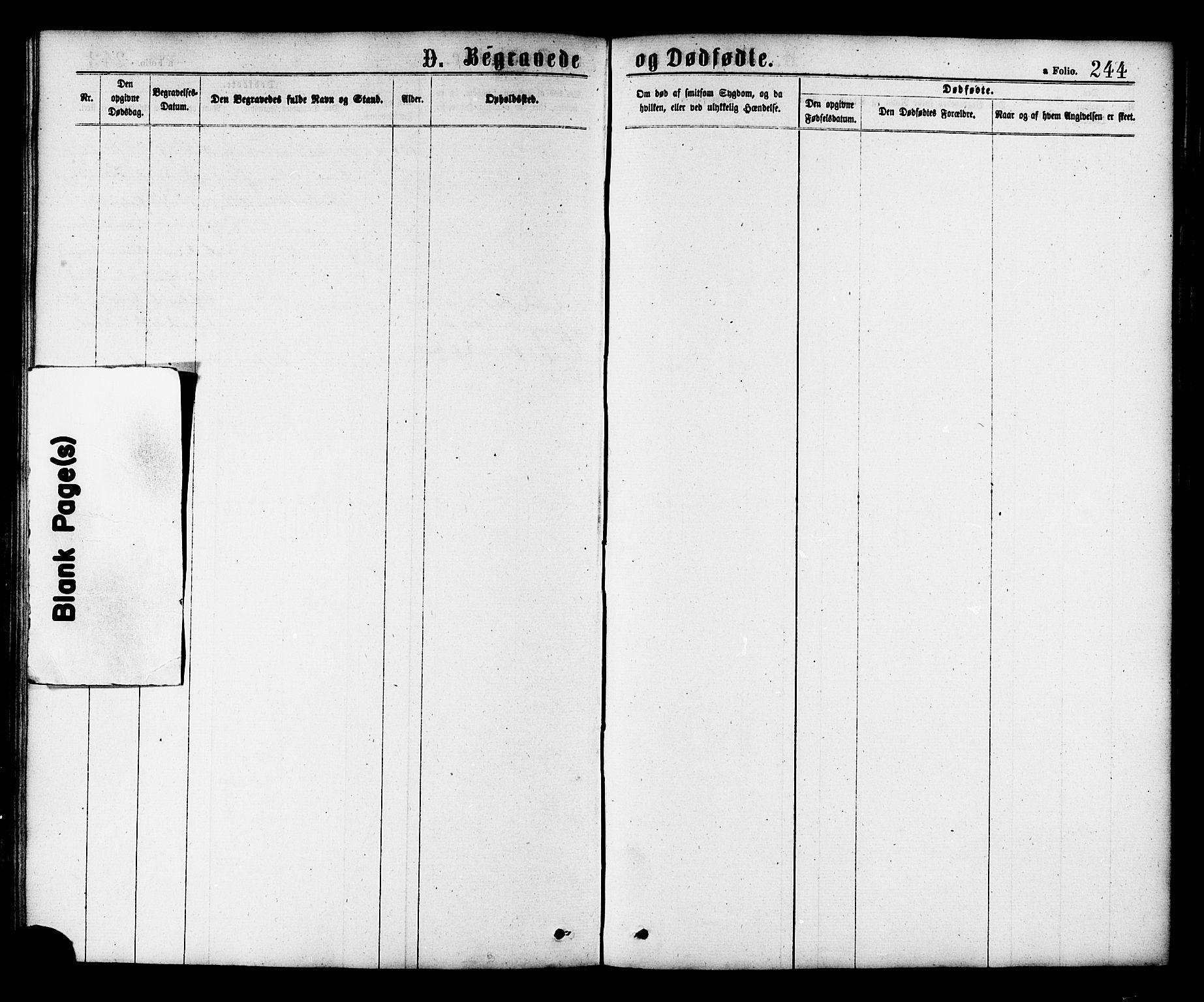 Ministerialprotokoller, klokkerbøker og fødselsregistre - Nord-Trøndelag, SAT/A-1458/758/L0516: Parish register (official) no. 758A03 /3, 1869-1879, p. 244