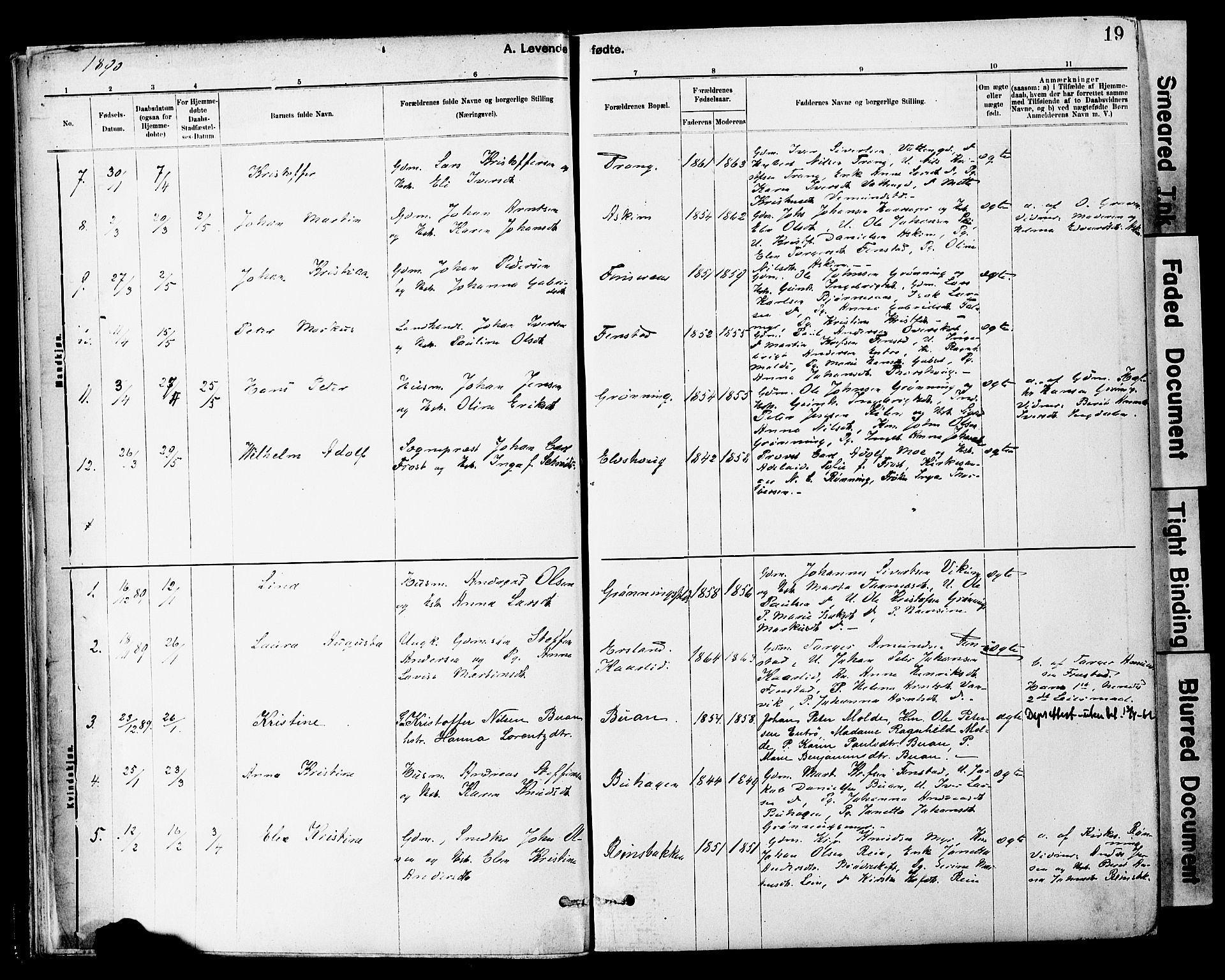 Ministerialprotokoller, klokkerbøker og fødselsregistre - Sør-Trøndelag, SAT/A-1456/646/L0615: Parish register (official) no. 646A13, 1885-1900, p. 19