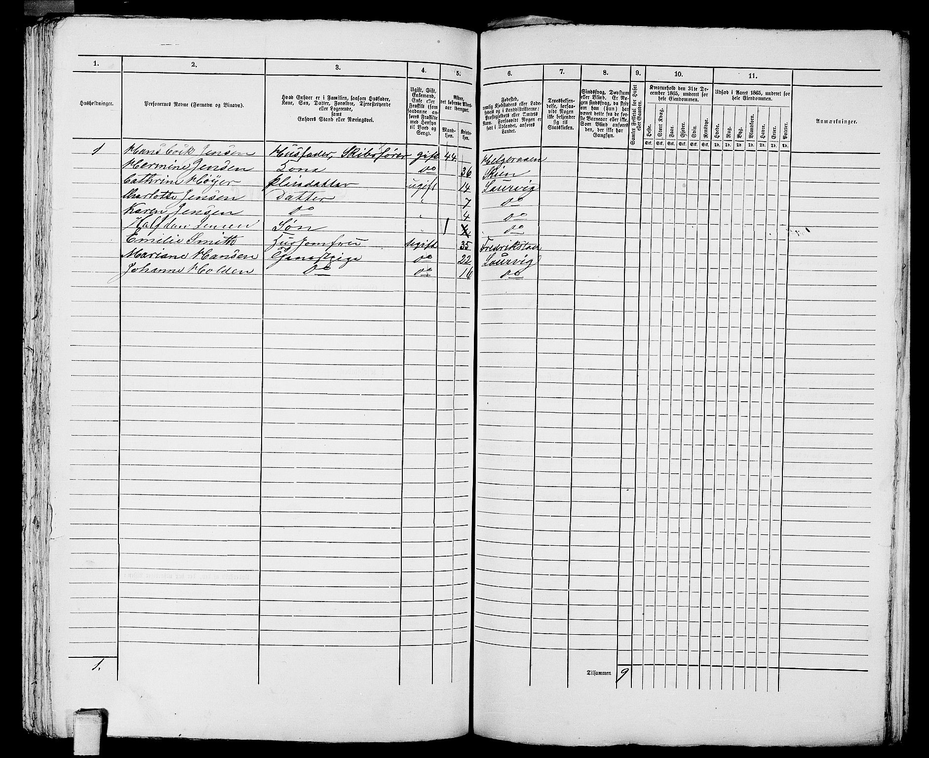 RA, 1865 census for Larvik, 1865, p. 1060