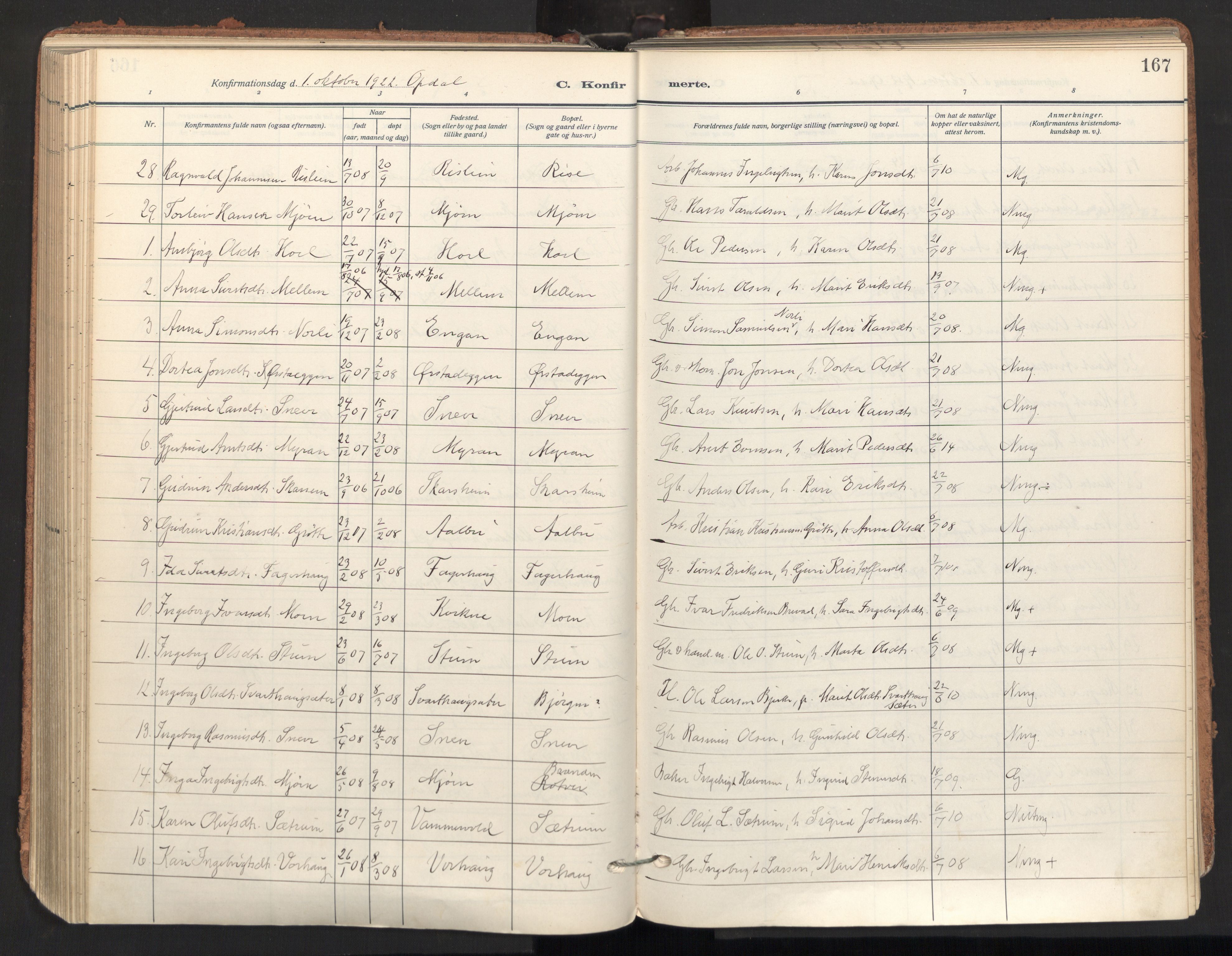 Ministerialprotokoller, klokkerbøker og fødselsregistre - Sør-Trøndelag, SAT/A-1456/678/L0909: Parish register (official) no. 678A17, 1912-1930, p. 167