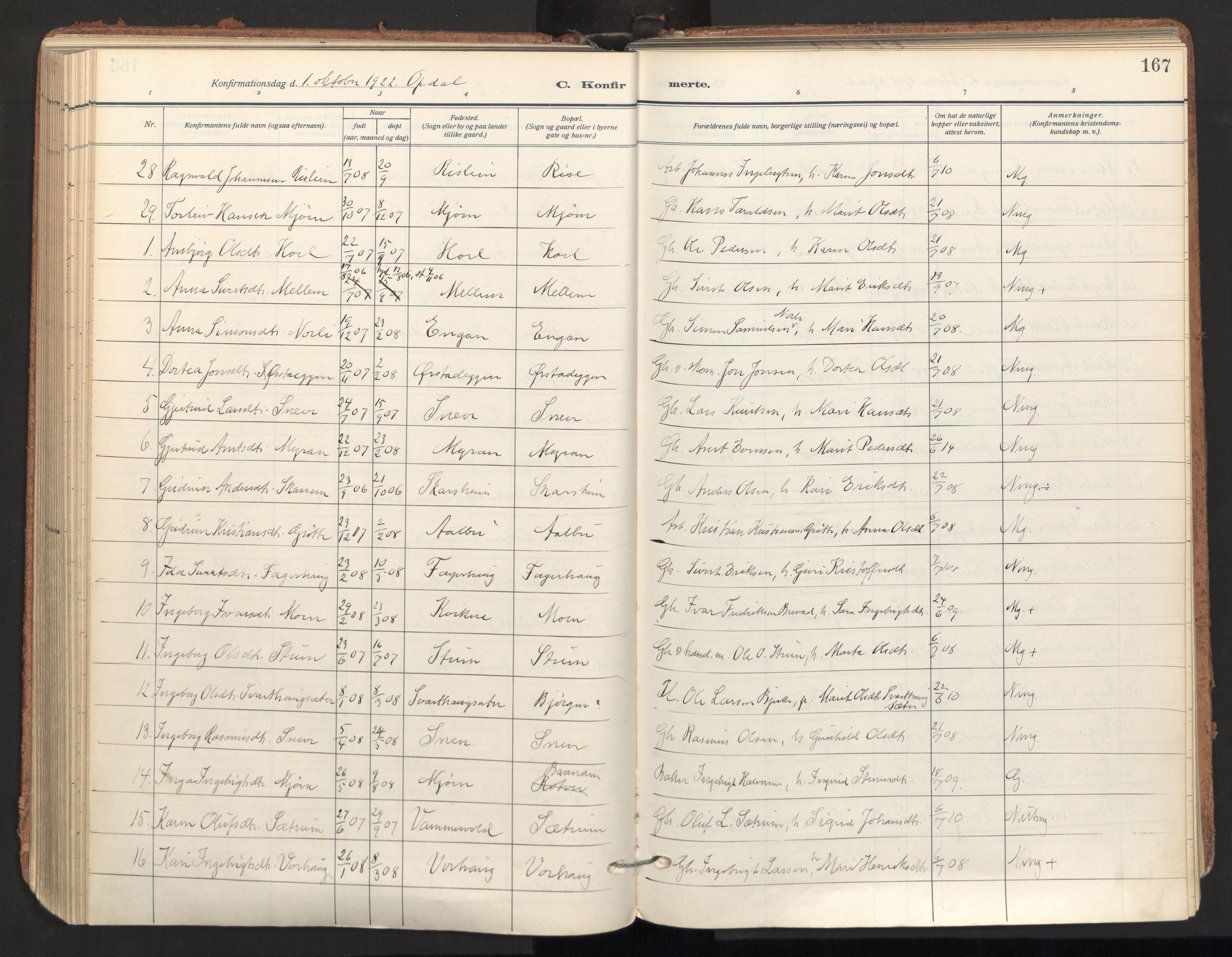 Ministerialprotokoller, klokkerbøker og fødselsregistre - Sør-Trøndelag, AV/SAT-A-1456/678/L0909: Parish register (official) no. 678A17, 1912-1930, p. 167