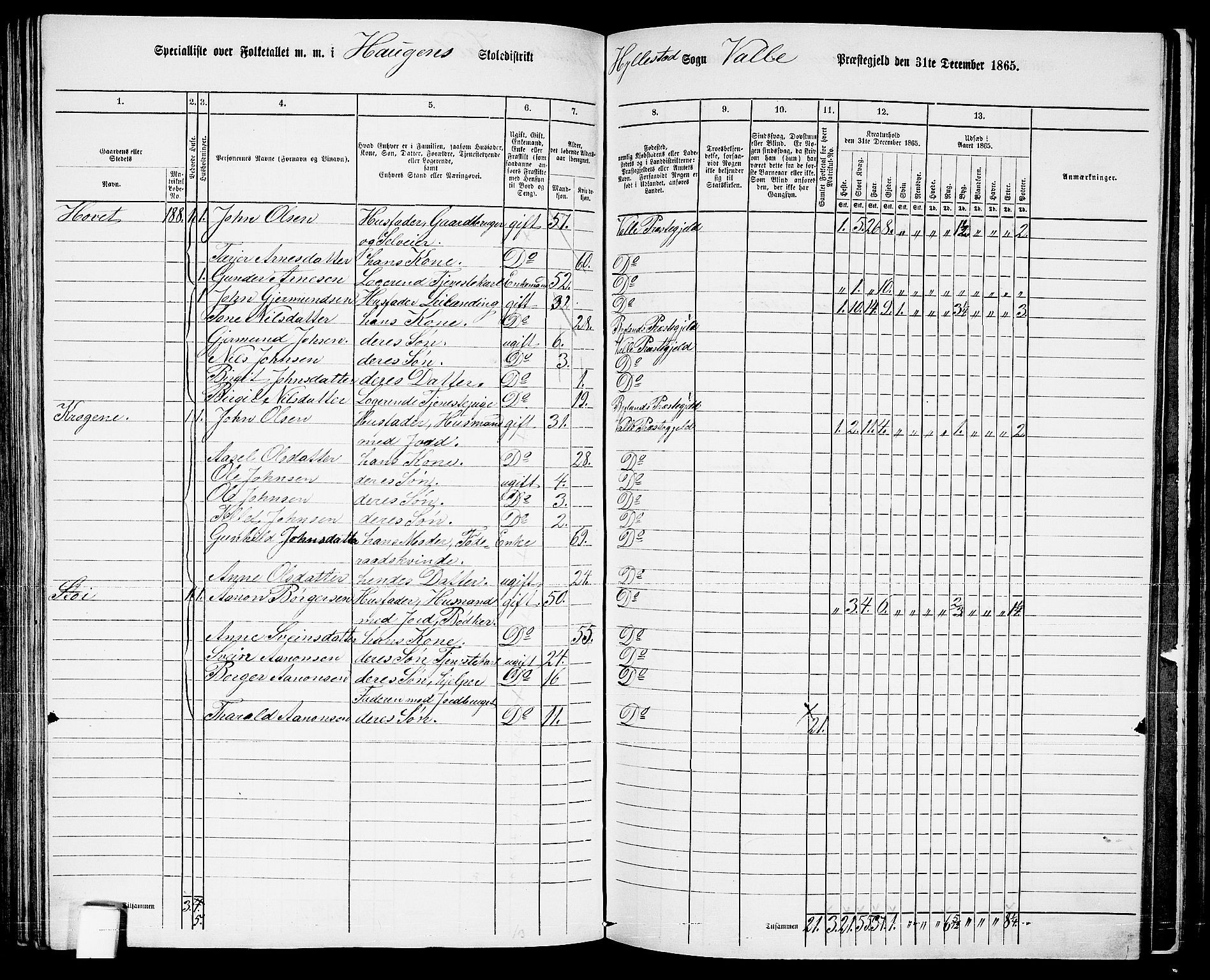 RA, 1865 census for Valle, 1865, p. 115