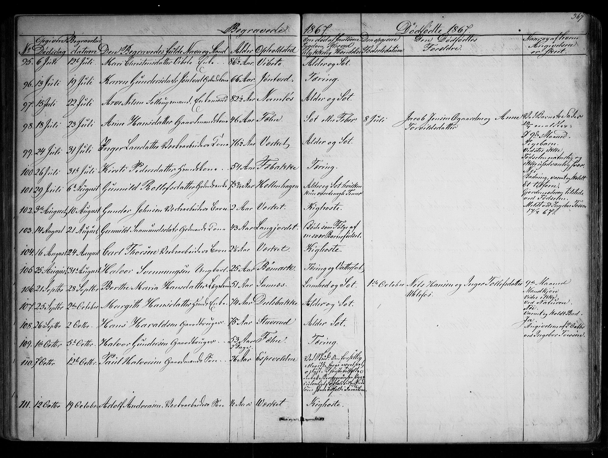 Holla kirkebøker, AV/SAKO-A-272/G/Ga/L0004: Parish register (copy) no. I 4, 1867-1890, p. 367