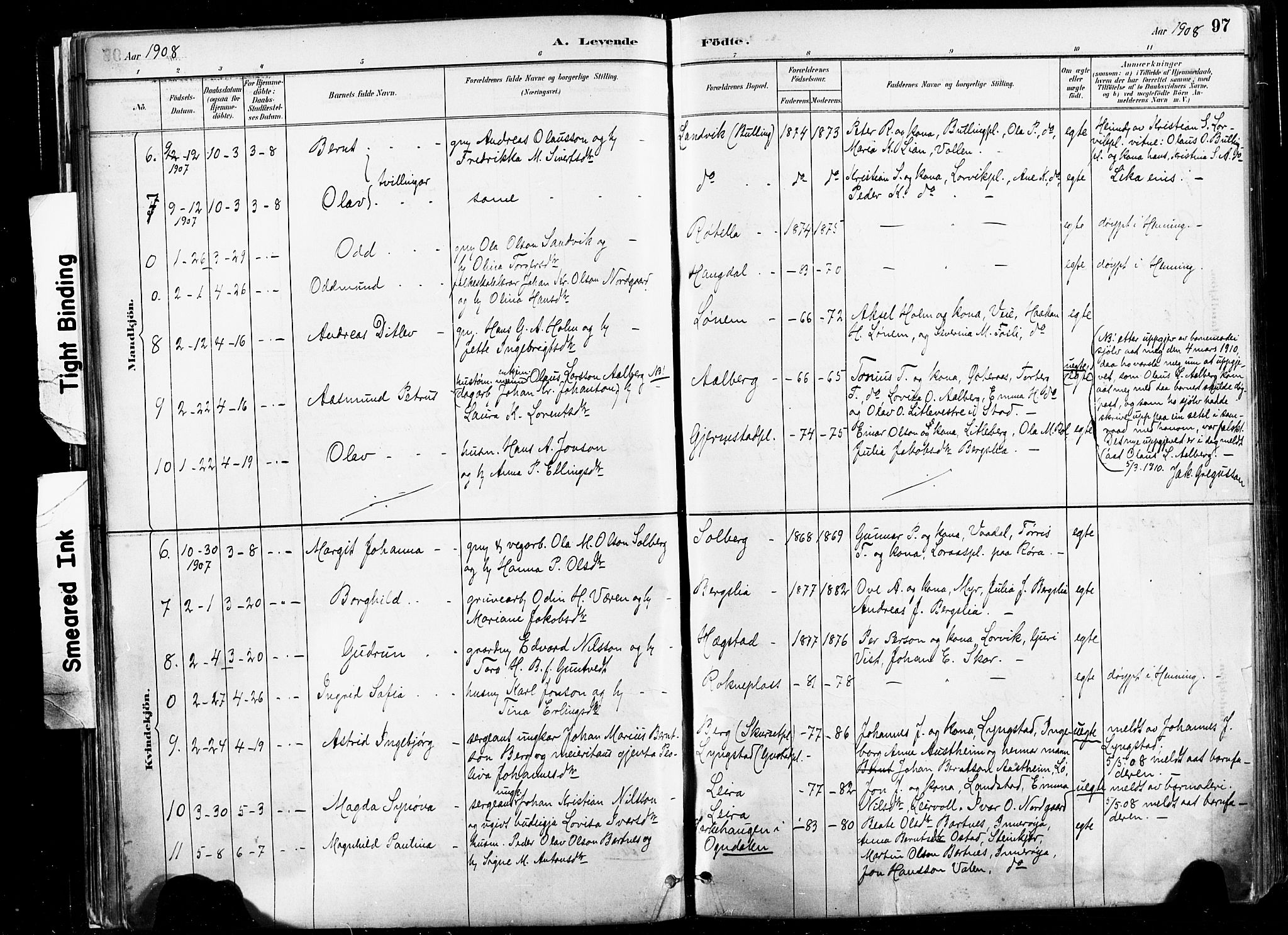 Ministerialprotokoller, klokkerbøker og fødselsregistre - Nord-Trøndelag, SAT/A-1458/735/L0351: Parish register (official) no. 735A10, 1884-1908, p. 97