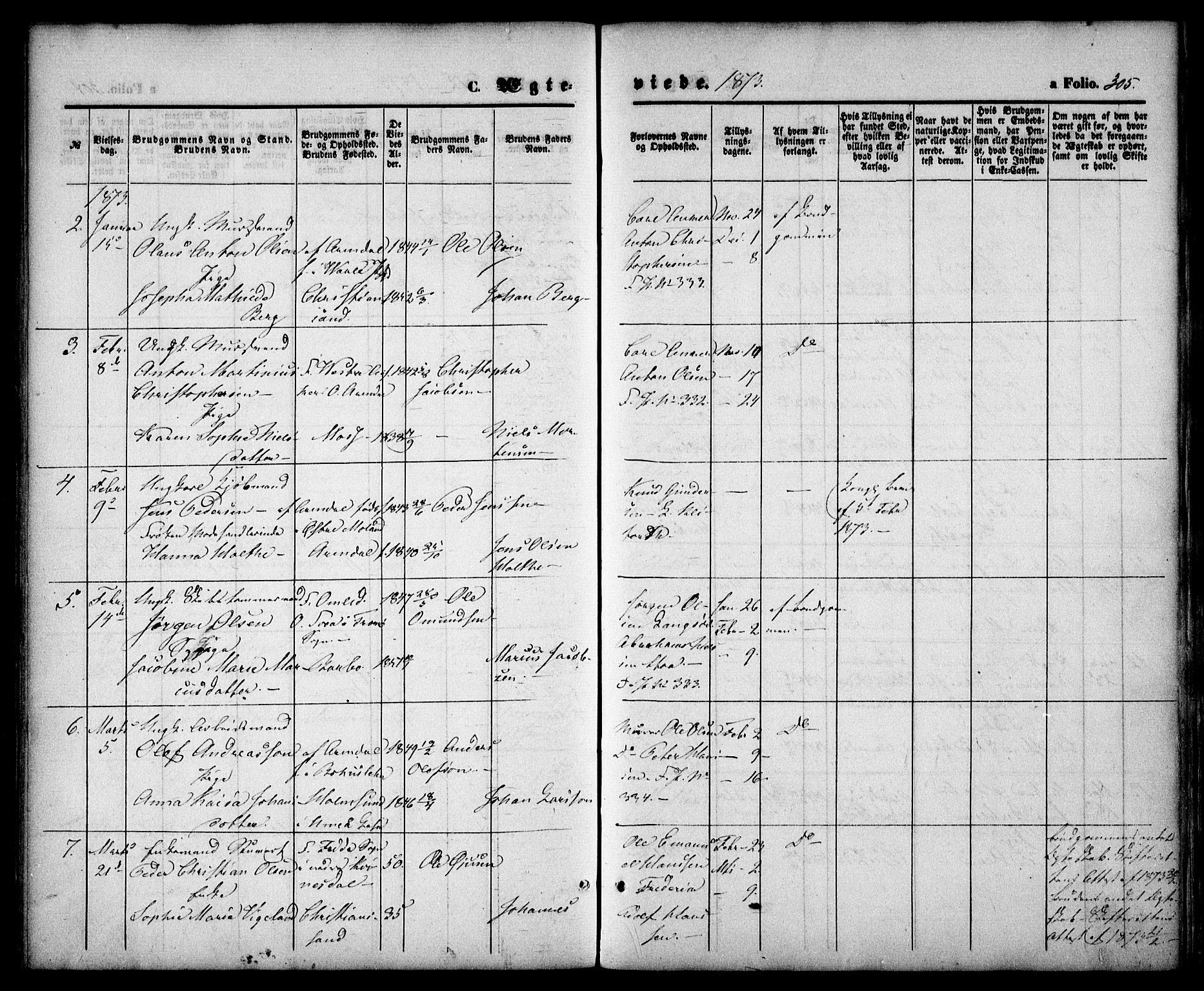 Arendal sokneprestkontor, Trefoldighet, SAK/1111-0040/F/Fa/L0007: Parish register (official) no. A 7, 1868-1878, p. 305
