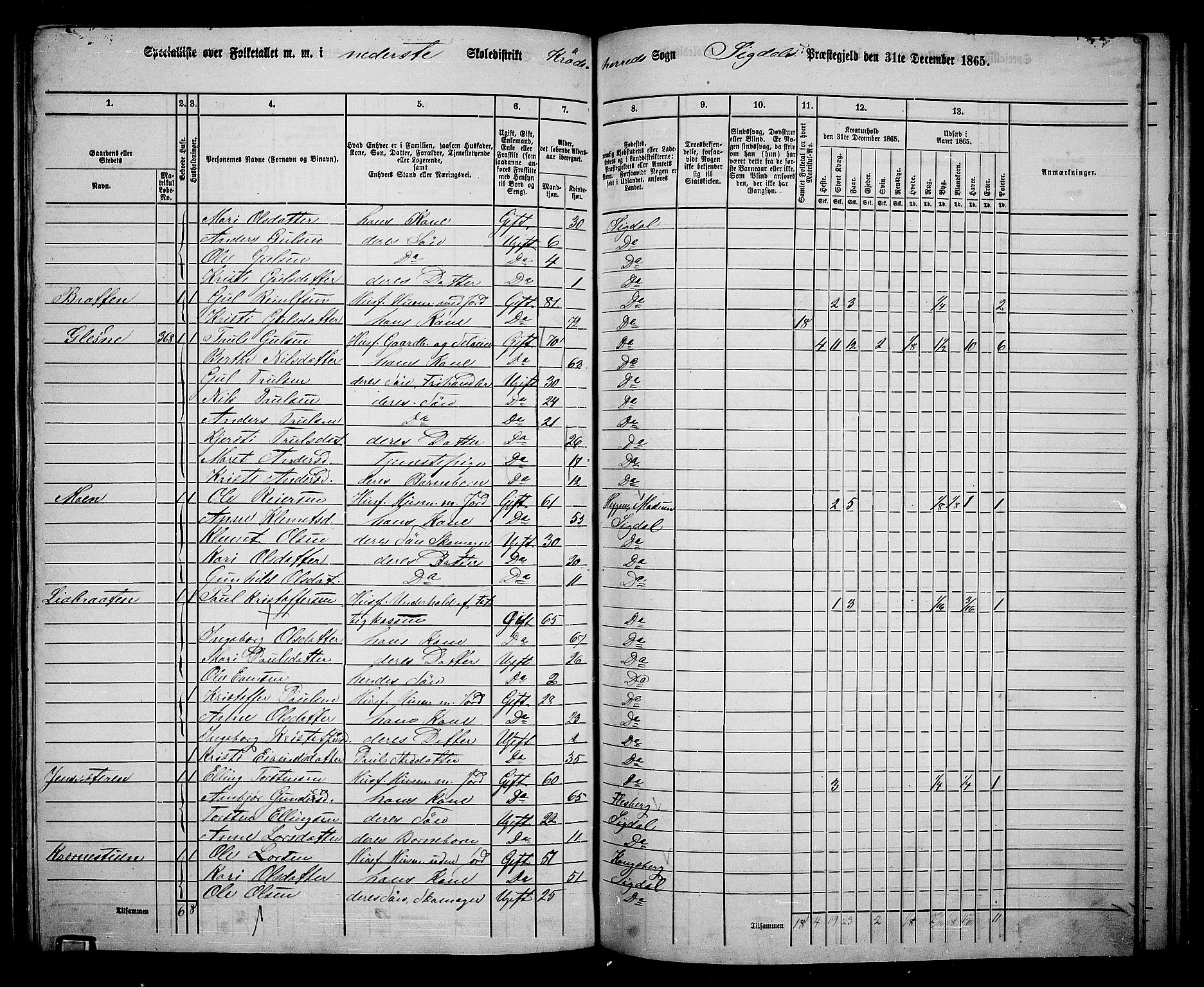 RA, 1865 census for Sigdal, 1865, p. 193