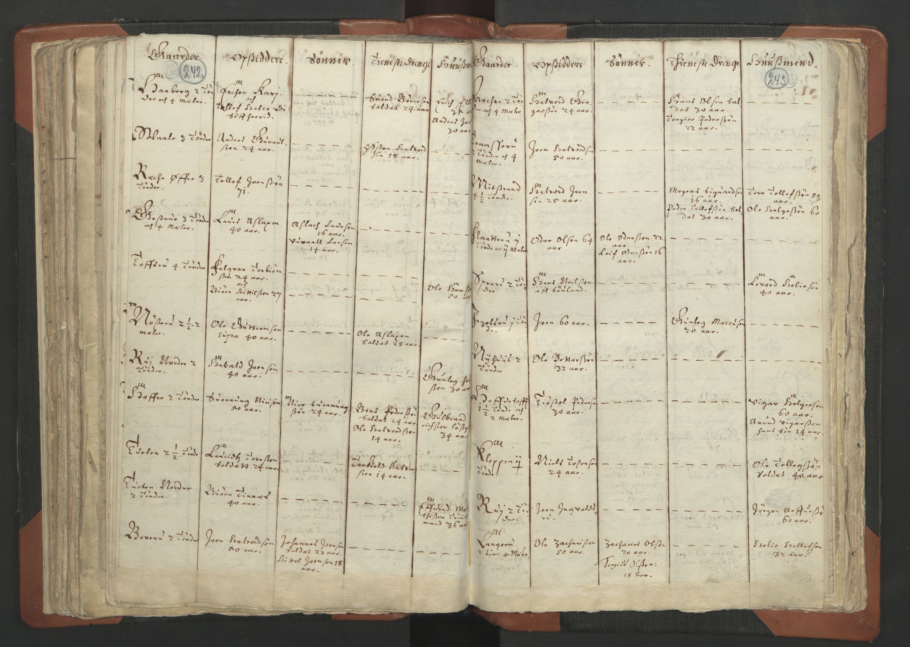 RA, Vicar's Census 1664-1666, no. 12: Øvre Telemark deanery, Nedre Telemark deanery and Bamble deanery, 1664-1666, p. 242-243