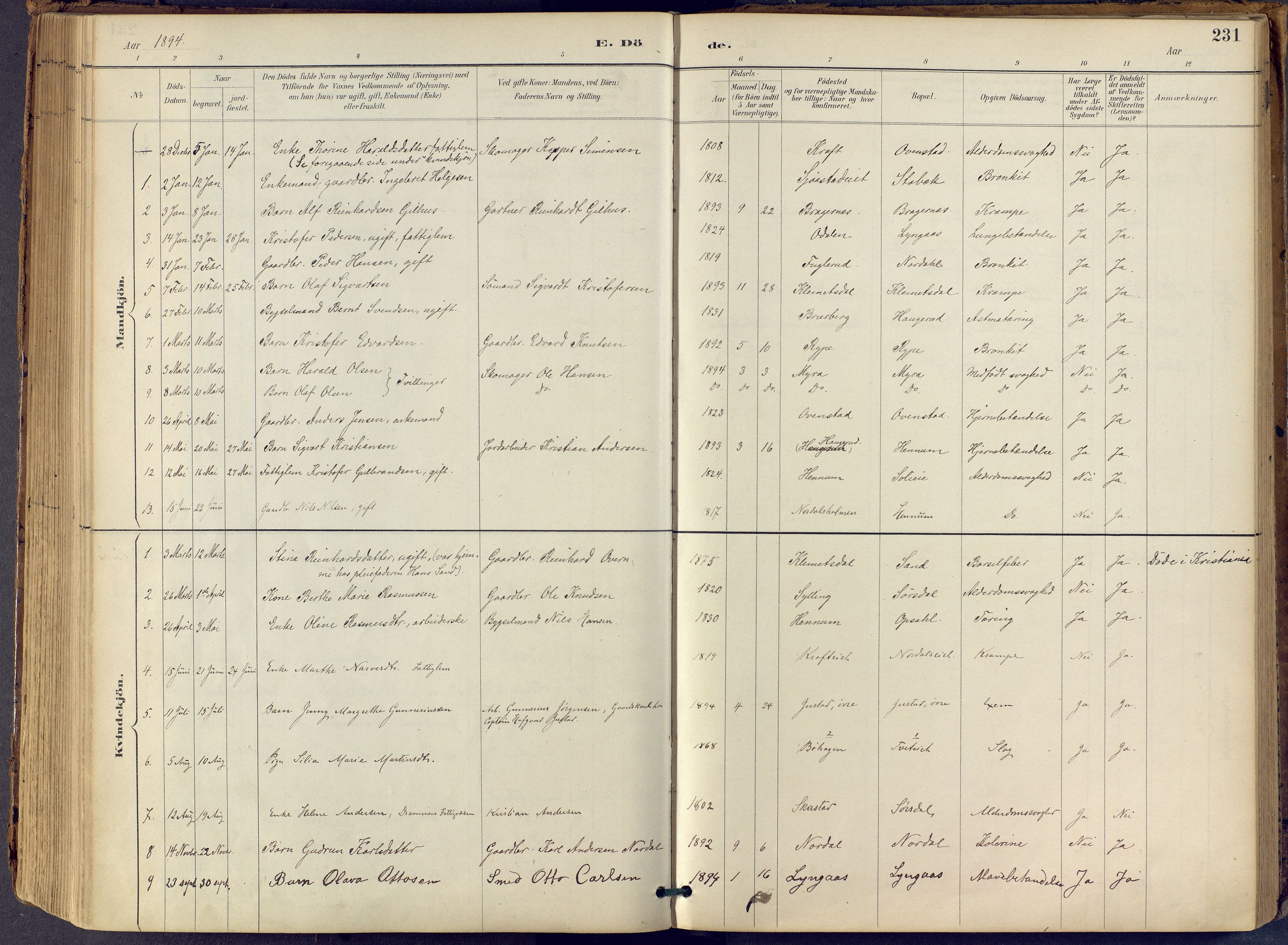 Lier kirkebøker, AV/SAKO-A-230/F/Fb/L0001: Parish register (official) no. II 1, 1883-1910, p. 231