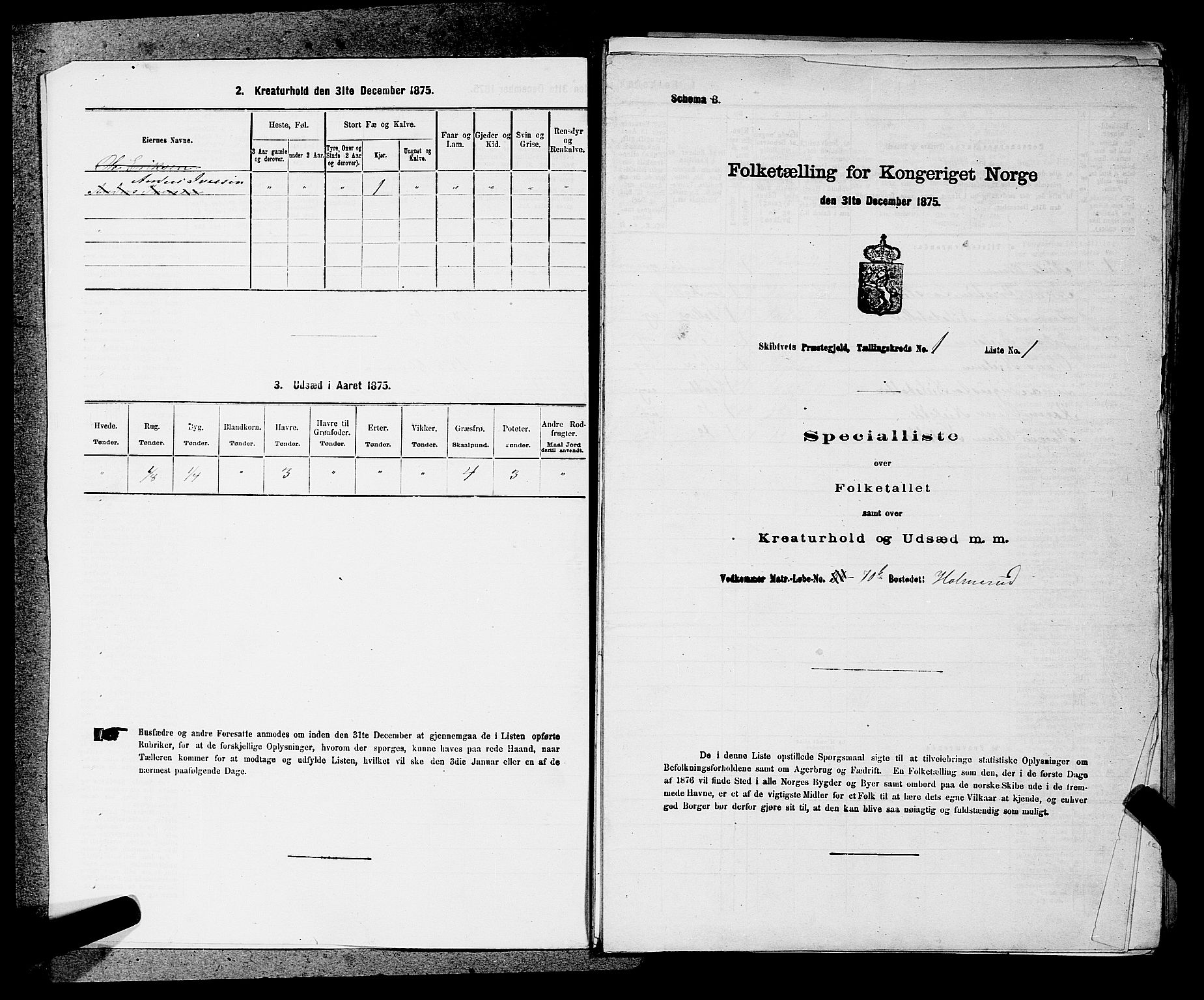 RA, 1875 census for 0127P Skiptvet, 1875, p. 29