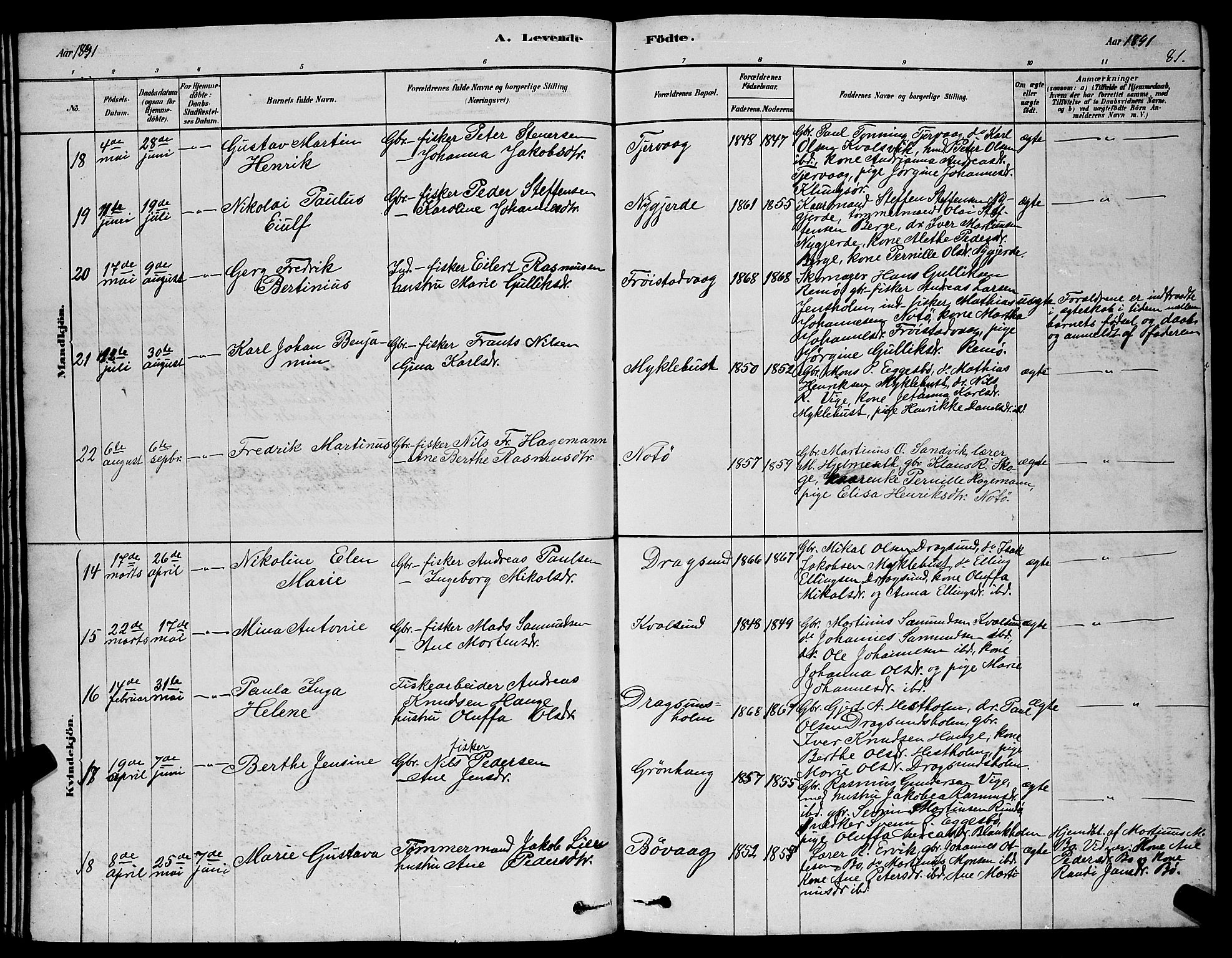 Ministerialprotokoller, klokkerbøker og fødselsregistre - Møre og Romsdal, AV/SAT-A-1454/507/L0081: Parish register (copy) no. 507C04, 1878-1898, p. 81