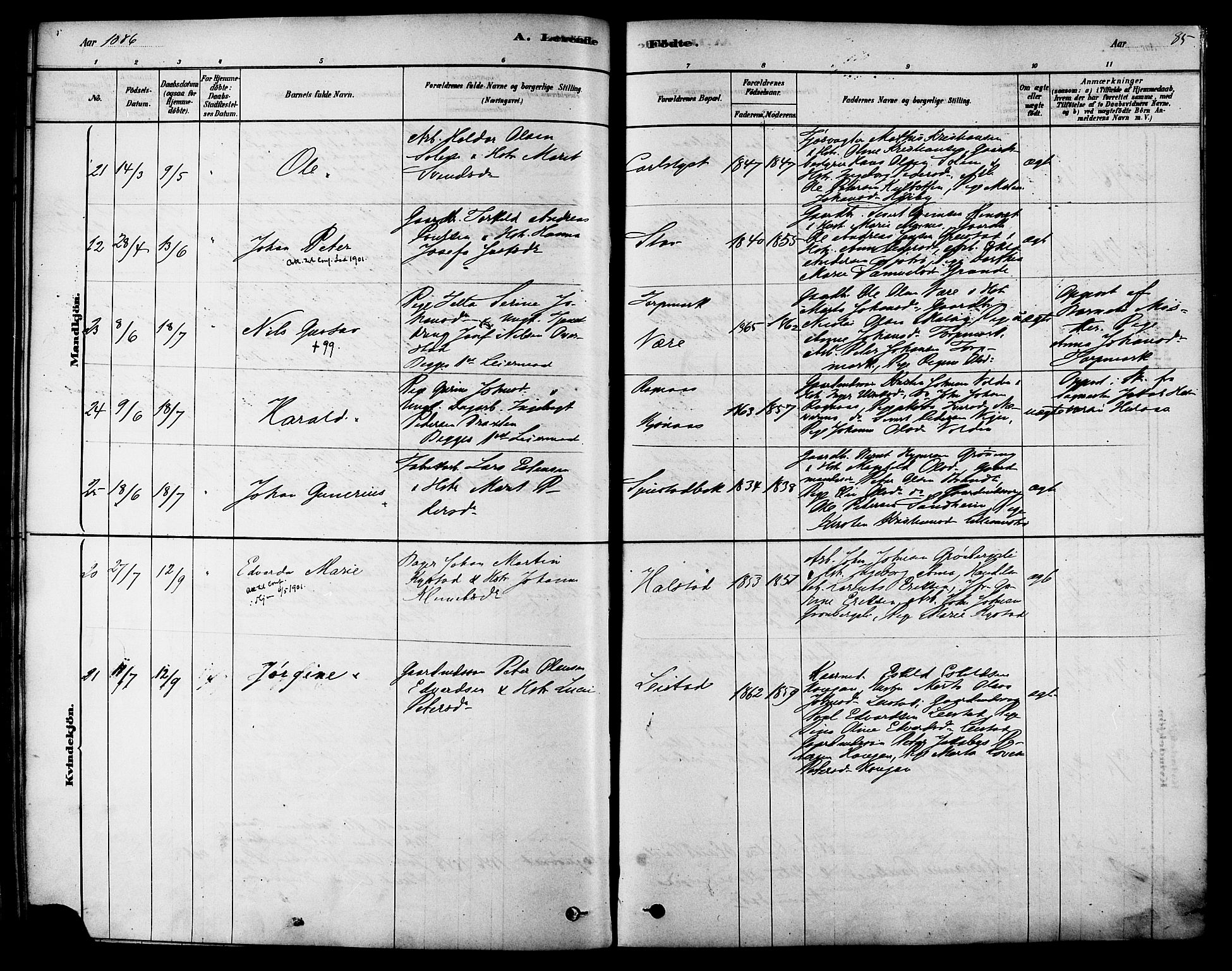 Ministerialprotokoller, klokkerbøker og fødselsregistre - Sør-Trøndelag, AV/SAT-A-1456/616/L0410: Parish register (official) no. 616A07, 1878-1893, p. 85