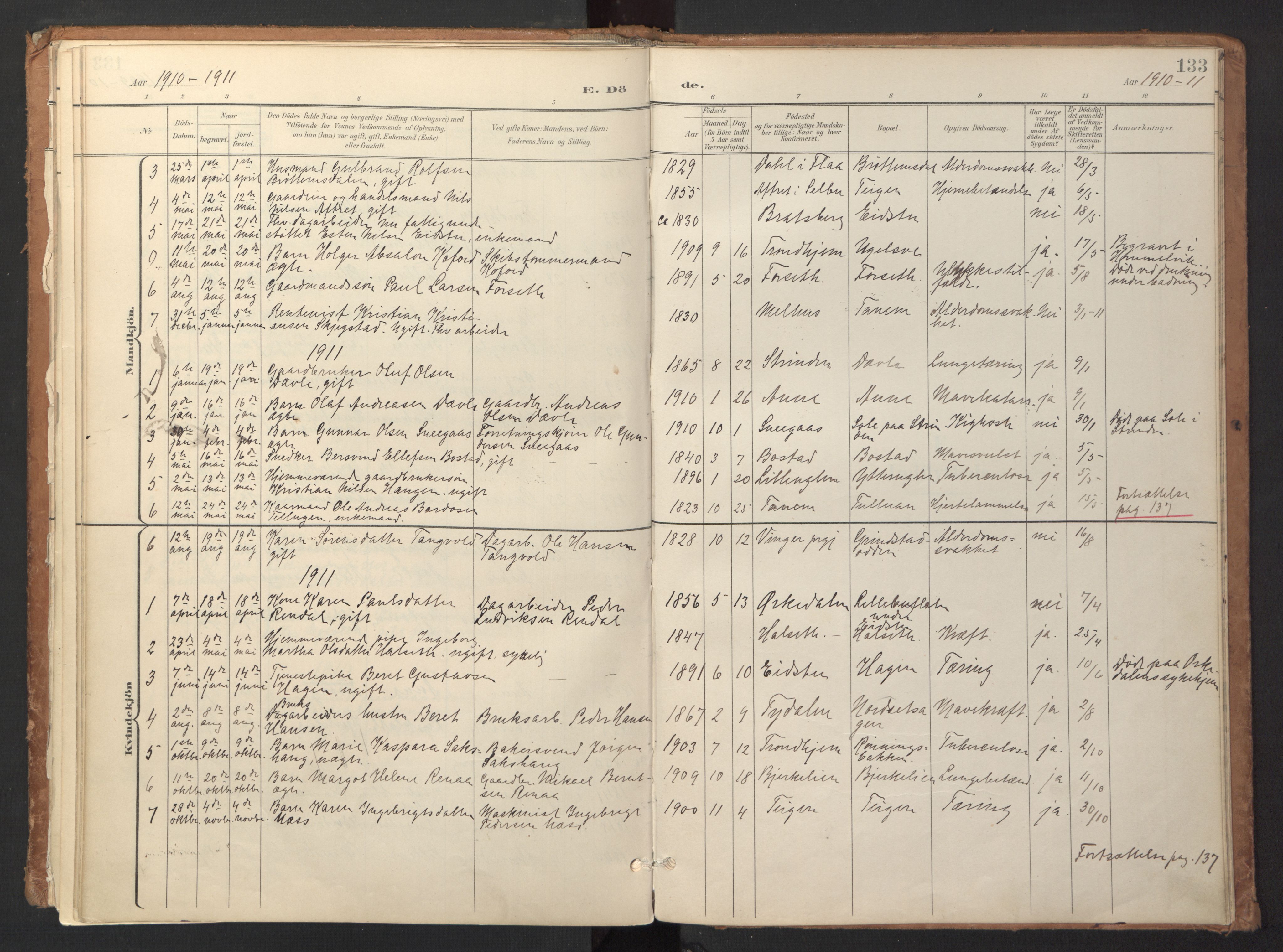 Ministerialprotokoller, klokkerbøker og fødselsregistre - Sør-Trøndelag, SAT/A-1456/618/L0448: Parish register (official) no. 618A11, 1898-1916, p. 133