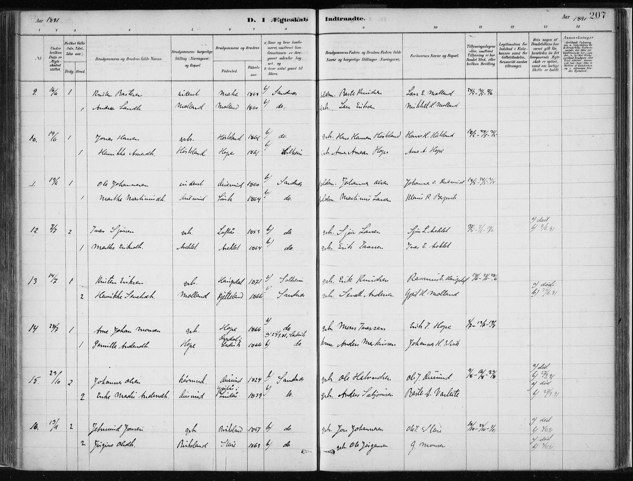 Masfjorden Sokneprestembete, AV/SAB-A-77001: Parish register (official) no. B  1, 1876-1899, p. 207