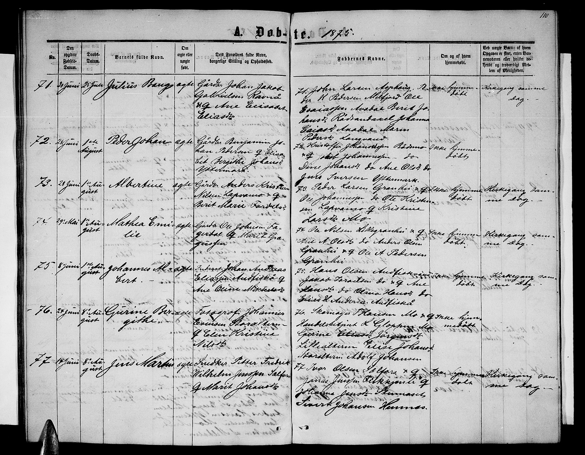 Ministerialprotokoller, klokkerbøker og fødselsregistre - Nordland, AV/SAT-A-1459/827/L0415: Parish register (copy) no. 827C04, 1864-1886, p. 110