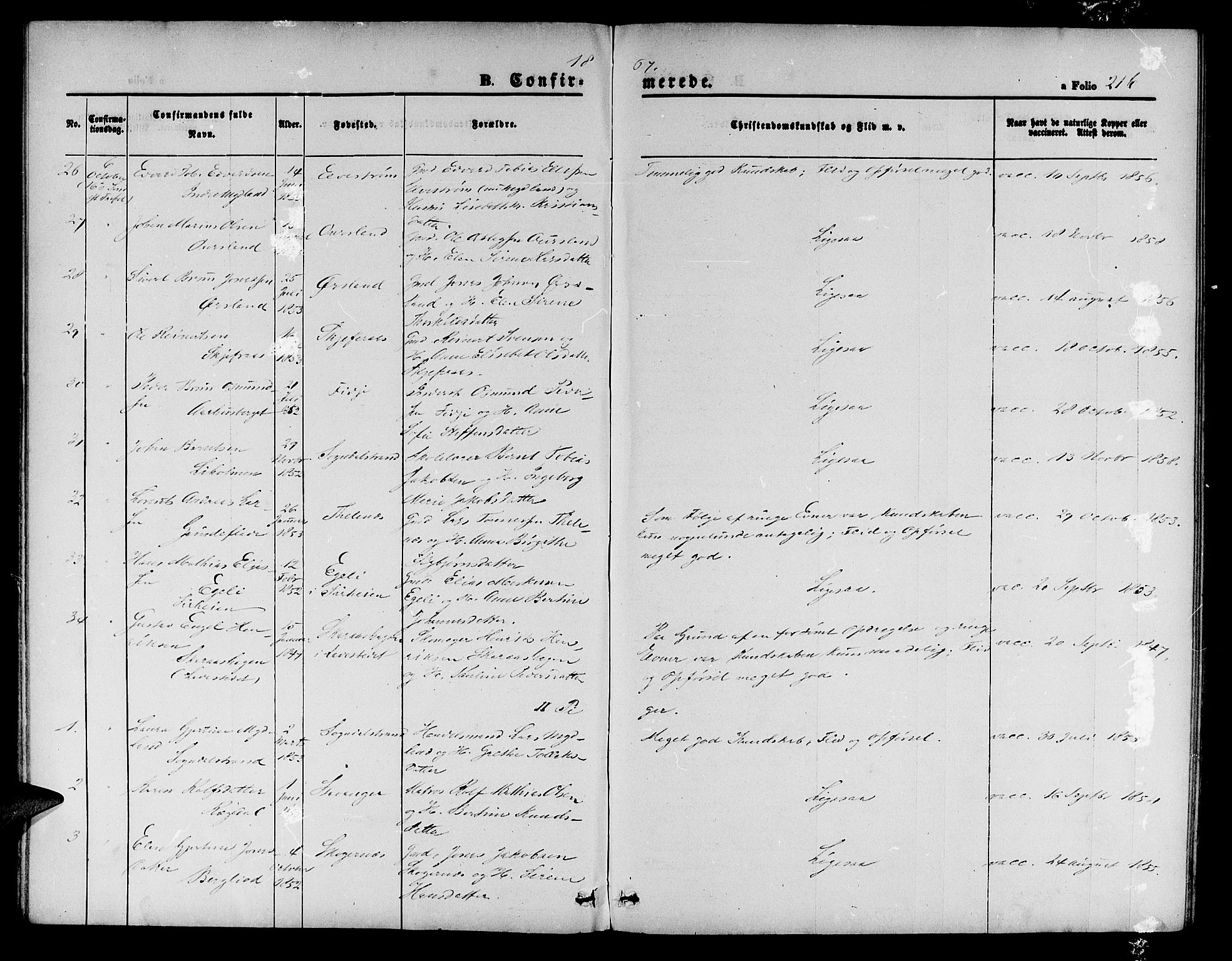 Sokndal sokneprestkontor, SAST/A-101808: Parish register (copy) no. B 3, 1865-1879, p. 216