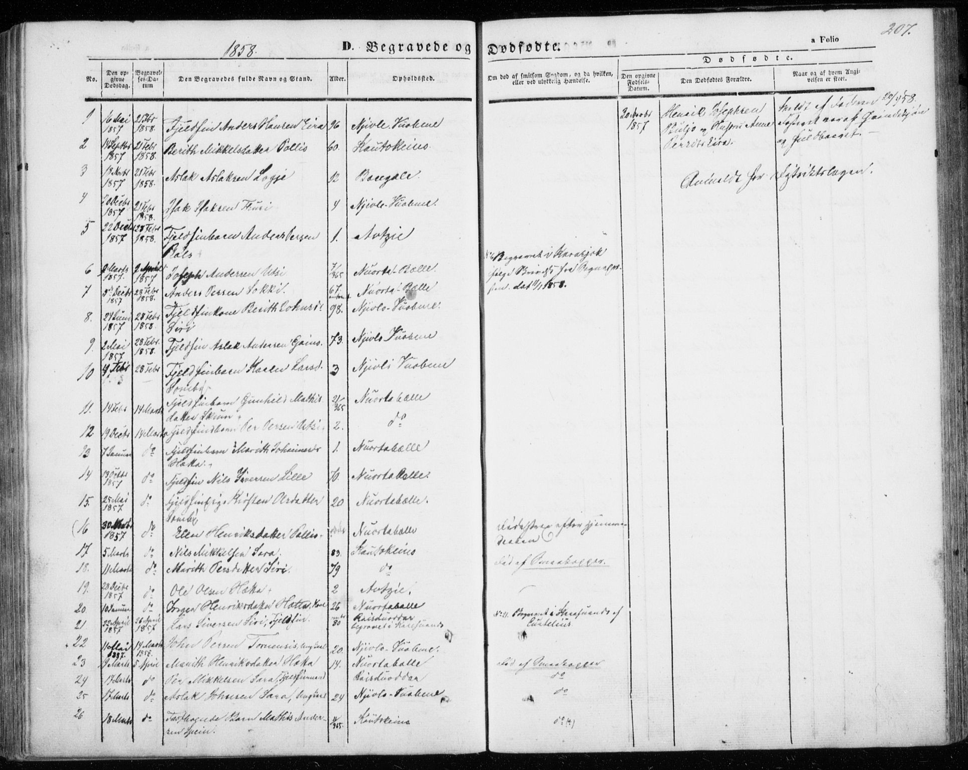 Kautokeino sokneprestembete, SATØ/S-1340/H/Ha/L0002.kirke: Parish register (official) no. 2, 1843-1861, p. 207