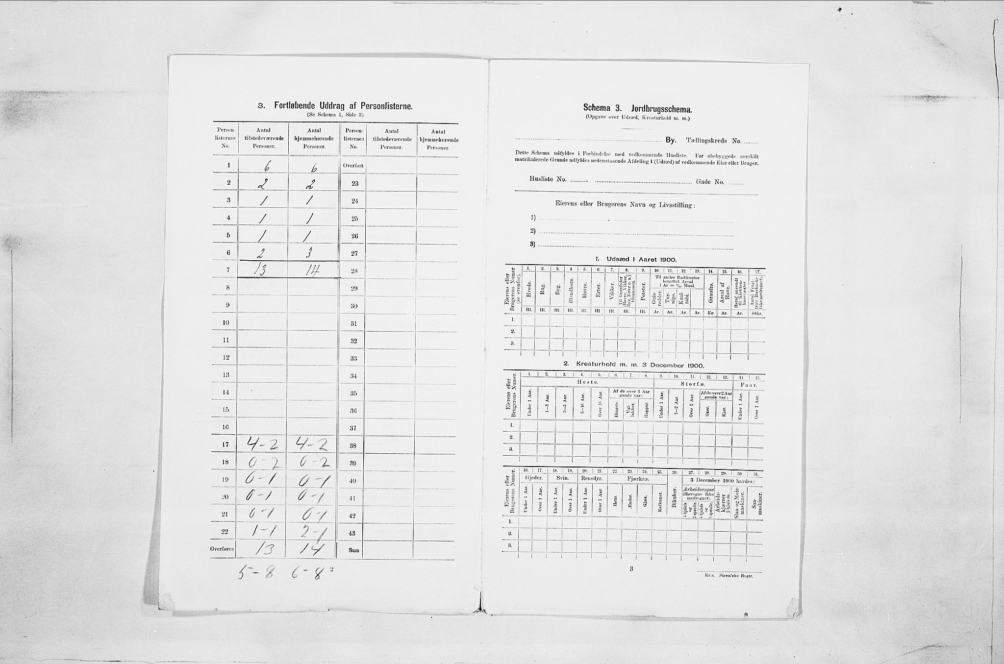 SAO, 1900 census for Fredrikshald, 1900