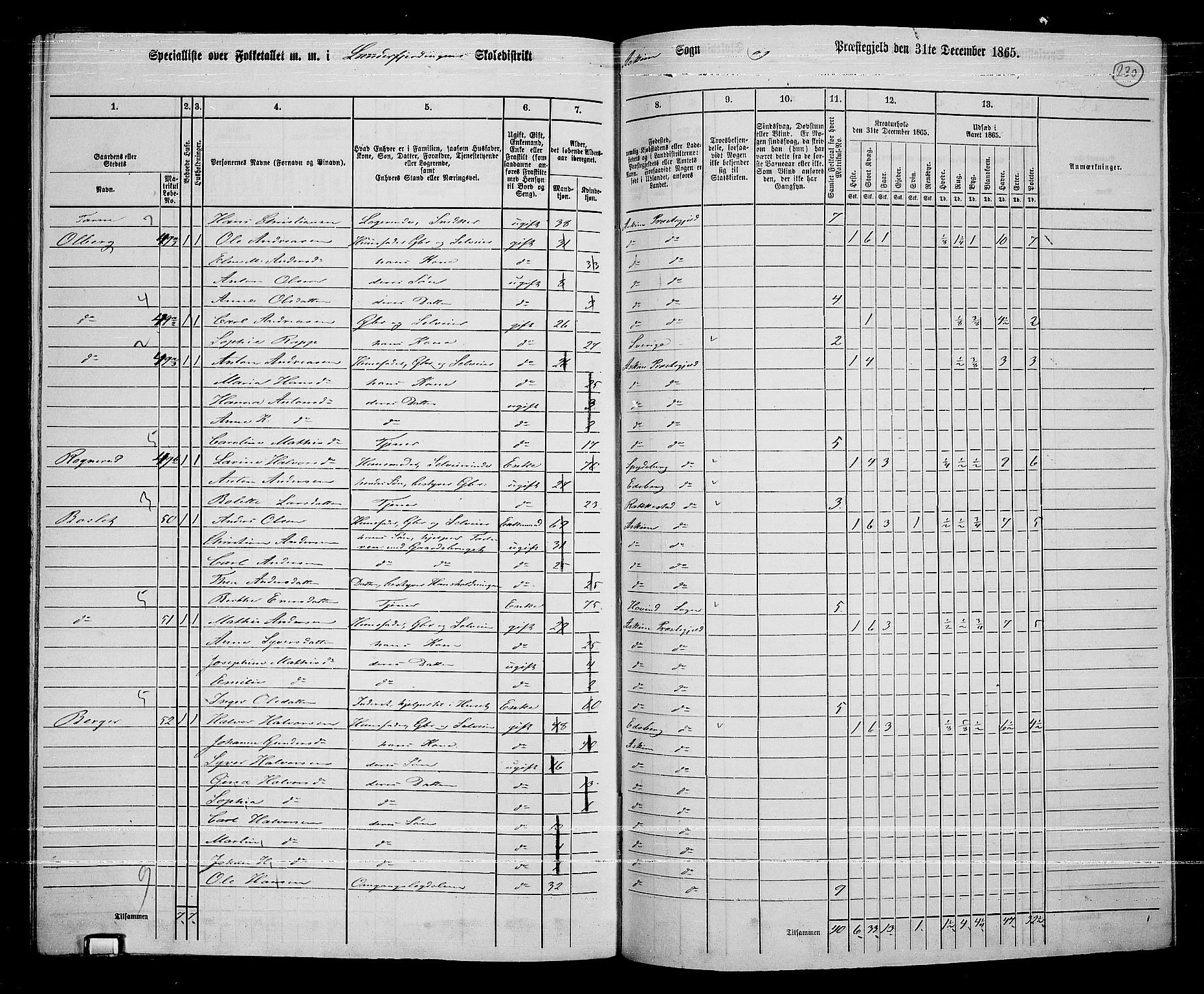 RA, 1865 census for Askim, 1865, p. 87