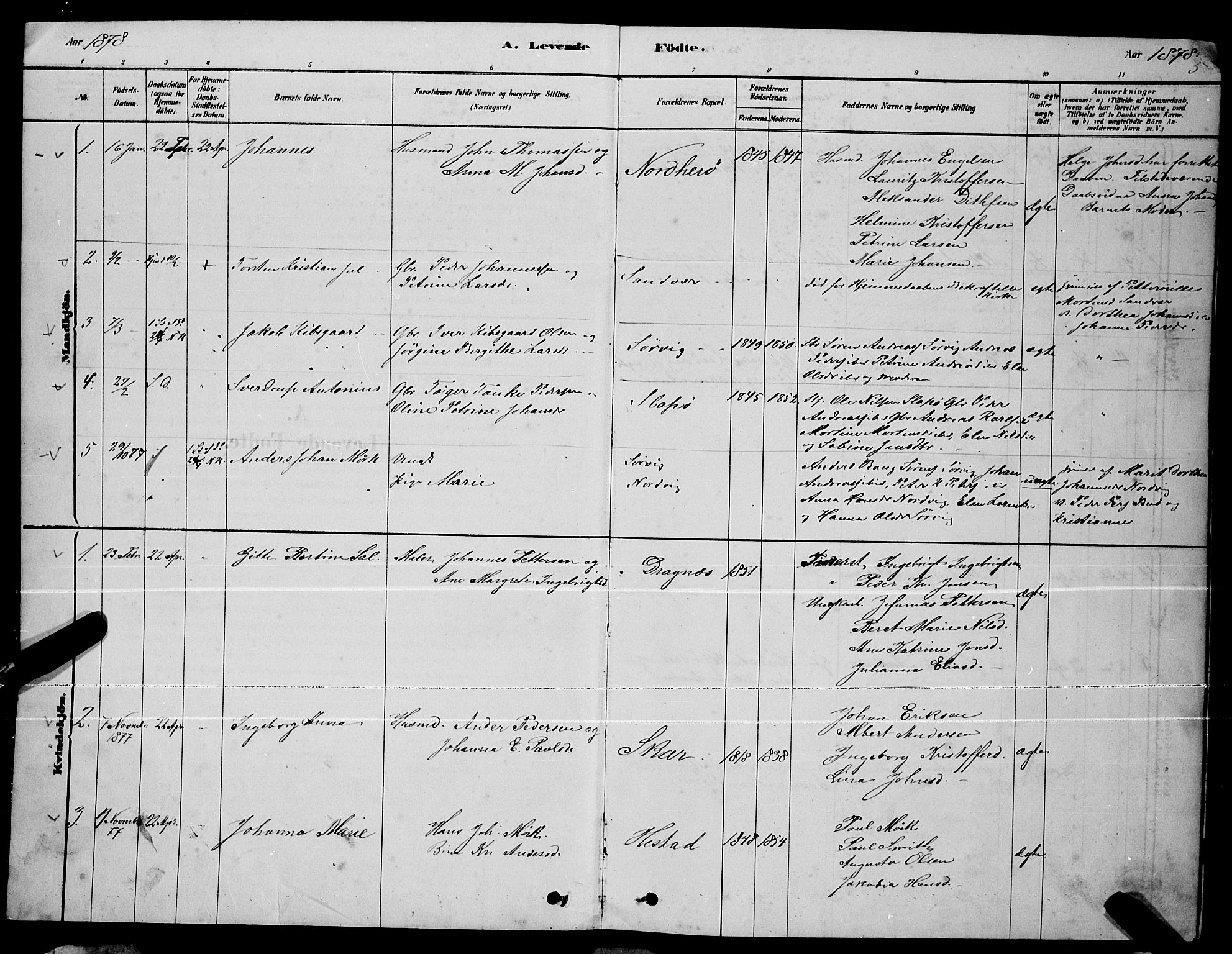 Ministerialprotokoller, klokkerbøker og fødselsregistre - Nordland, AV/SAT-A-1459/834/L0513: Parish register (copy) no. 834C04, 1877-1892, p. 5