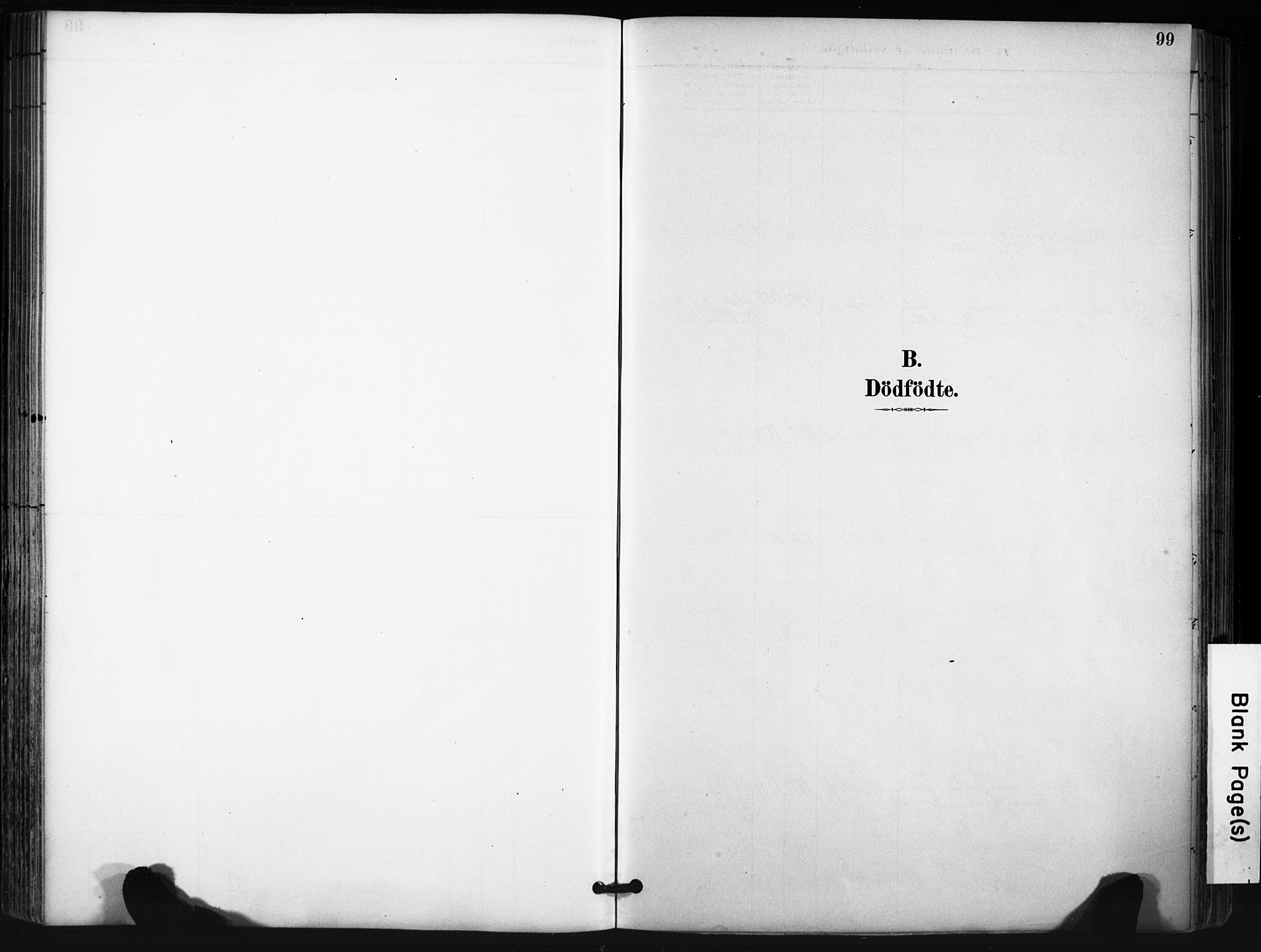 Evje sokneprestkontor, SAK/1111-0008/F/Fa/Fab/L0003: Parish register (official) no. A 3, 1884-1909, p. 99