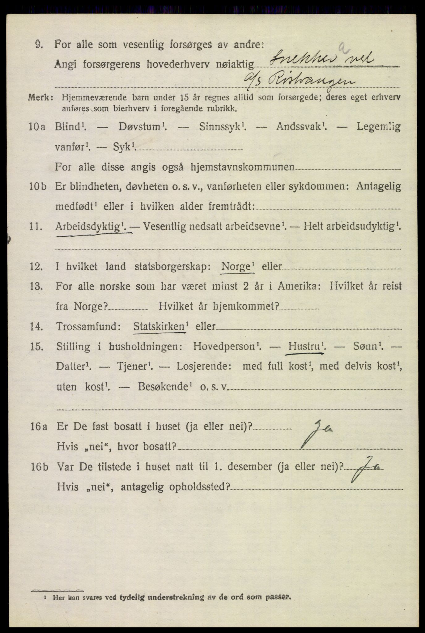 SAH, 1920 census for Tynset, 1920, p. 8591