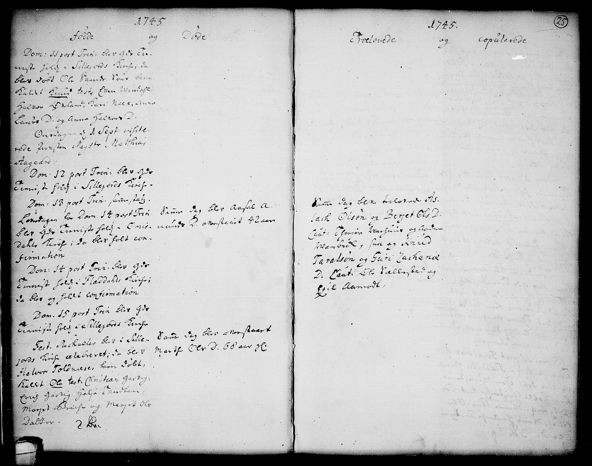 Seljord kirkebøker, SAKO/A-20/F/Fa/L0006: Parish register (official) no. I 6, 1744-1755, p. 25