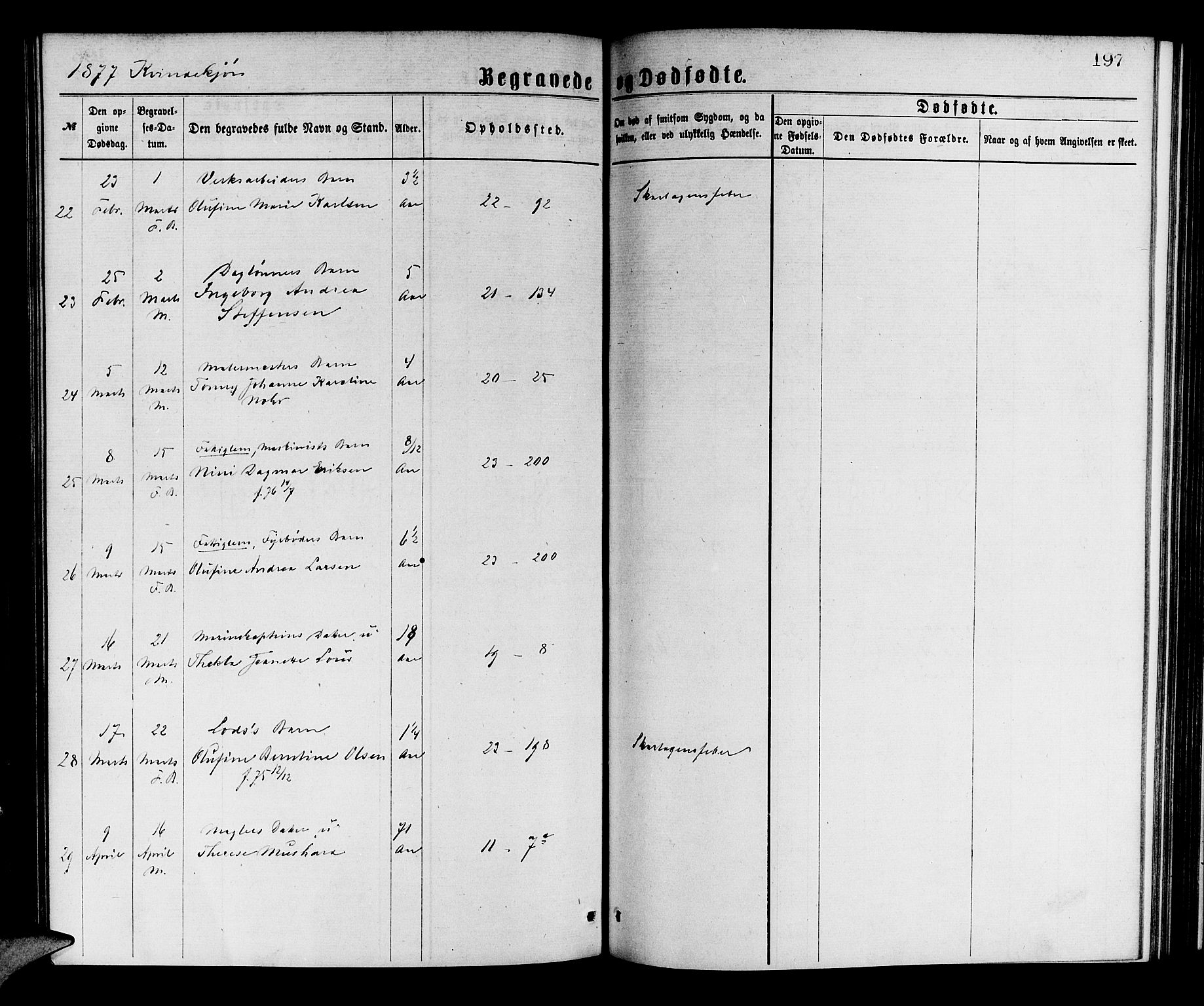 Korskirken sokneprestembete, AV/SAB-A-76101/H/Hab: Parish register (copy) no. E 3, 1871-1883, p. 197