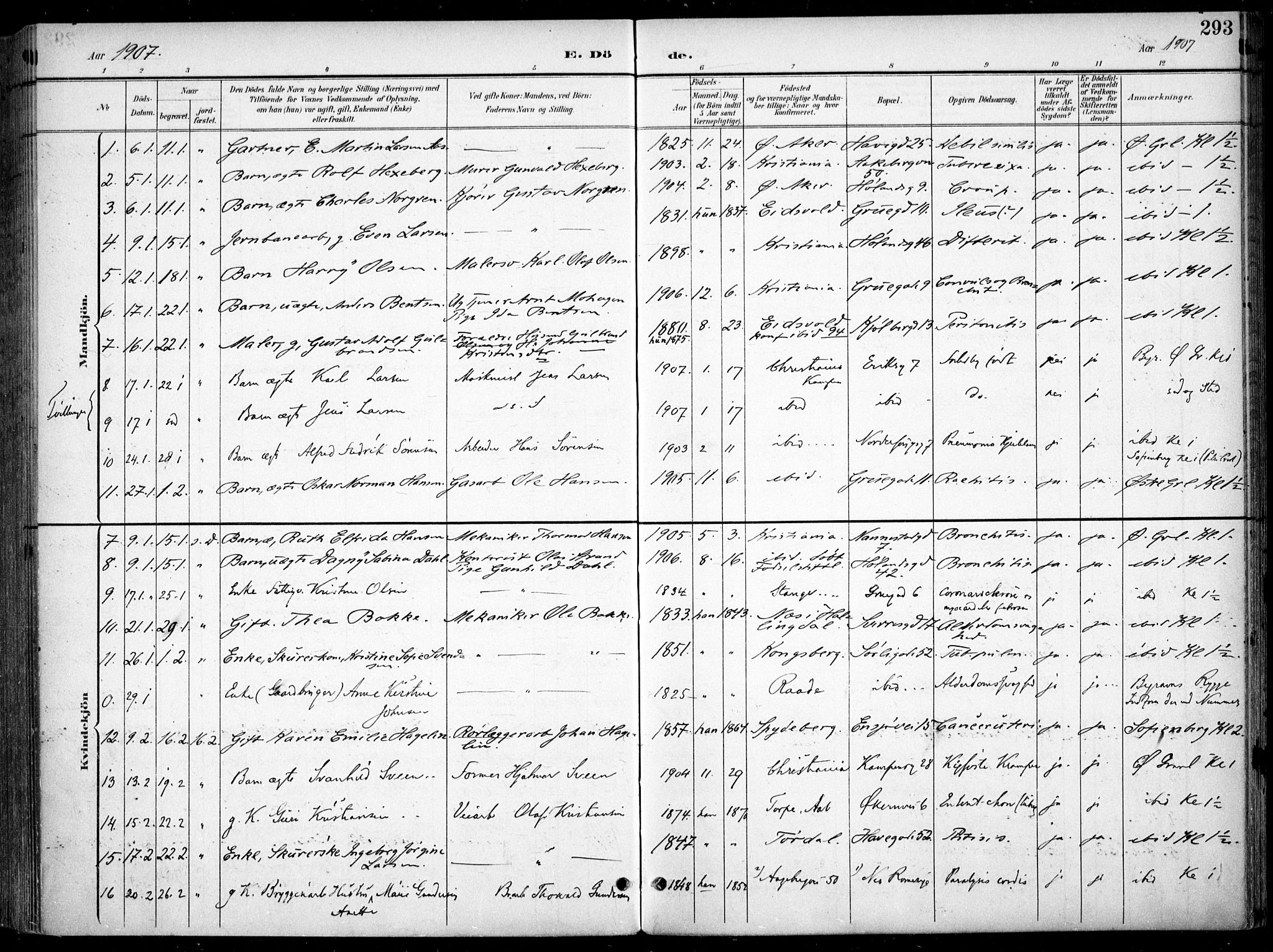 Kampen prestekontor Kirkebøker, SAO/A-10853/F/Fa/L0009: Parish register (official) no. I 9, 1899-1911, p. 293