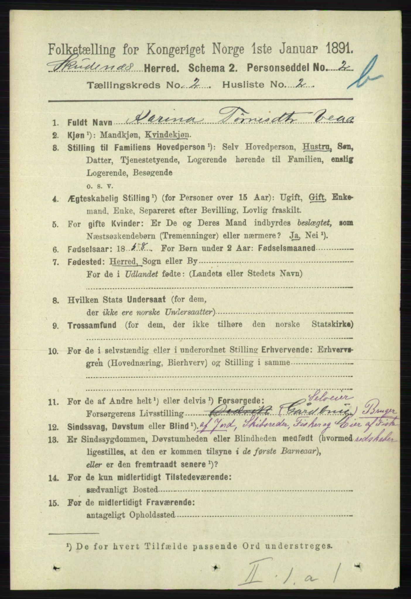 RA, 1891 census for 1150 Skudenes, 1891, p. 3715