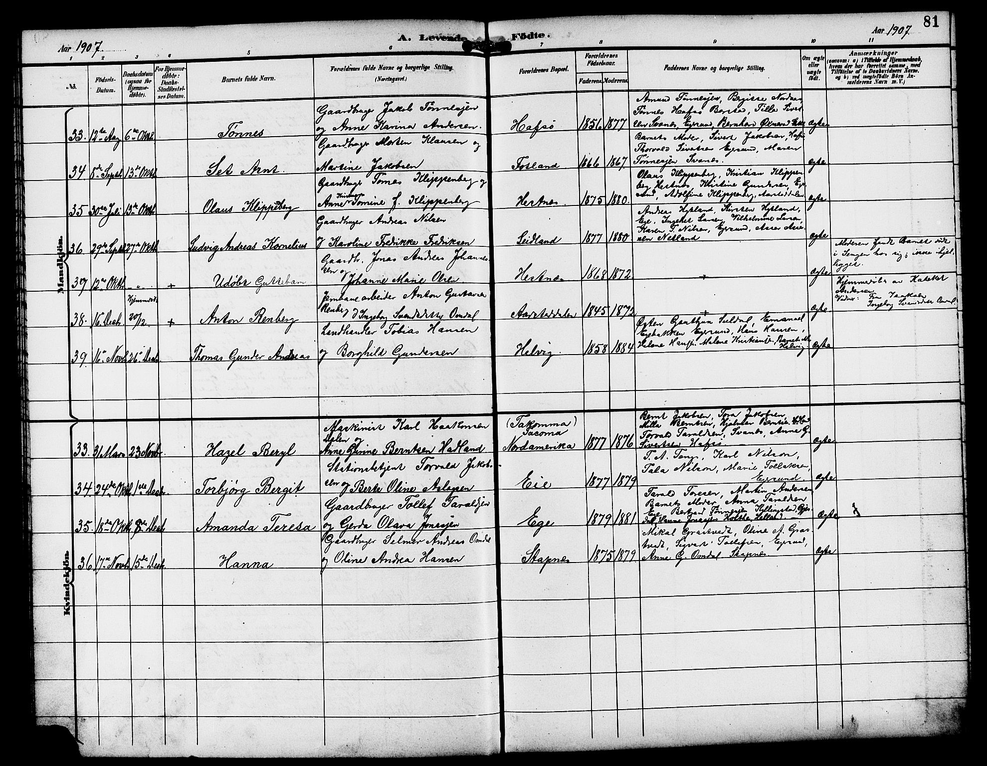 Eigersund sokneprestkontor, AV/SAST-A-101807/S09/L0009: Parish register (copy) no. B 9, 1893-1907, p. 81