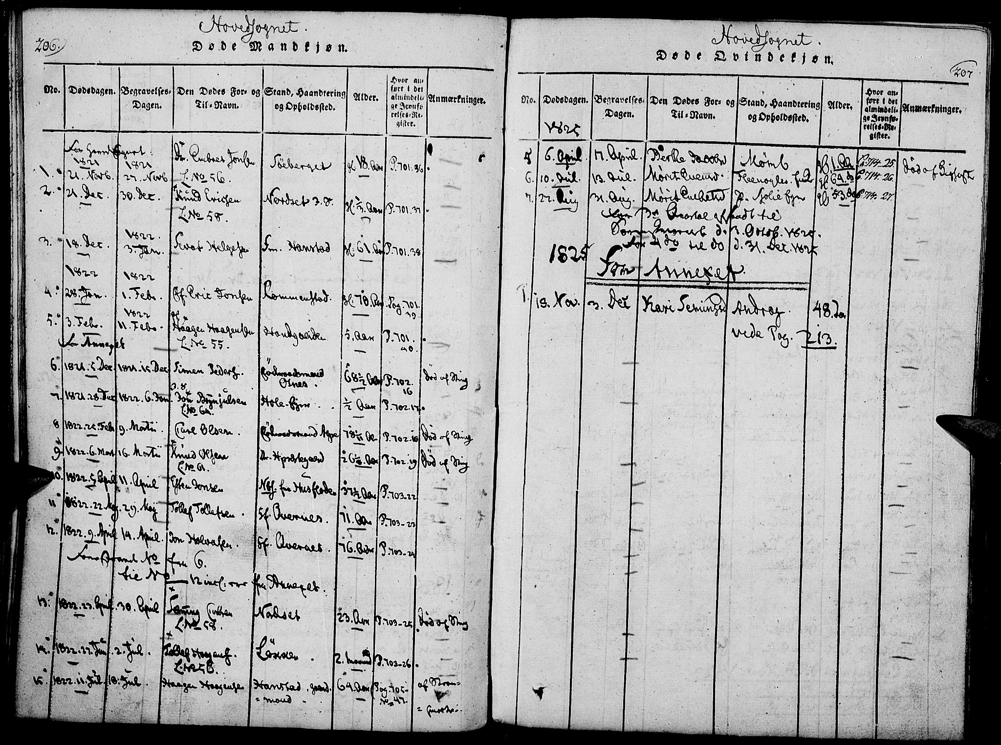 Rendalen prestekontor, AV/SAH-PREST-054/H/Ha/Haa/L0003: Parish register (official) no. 3, 1815-1829, p. 206-207