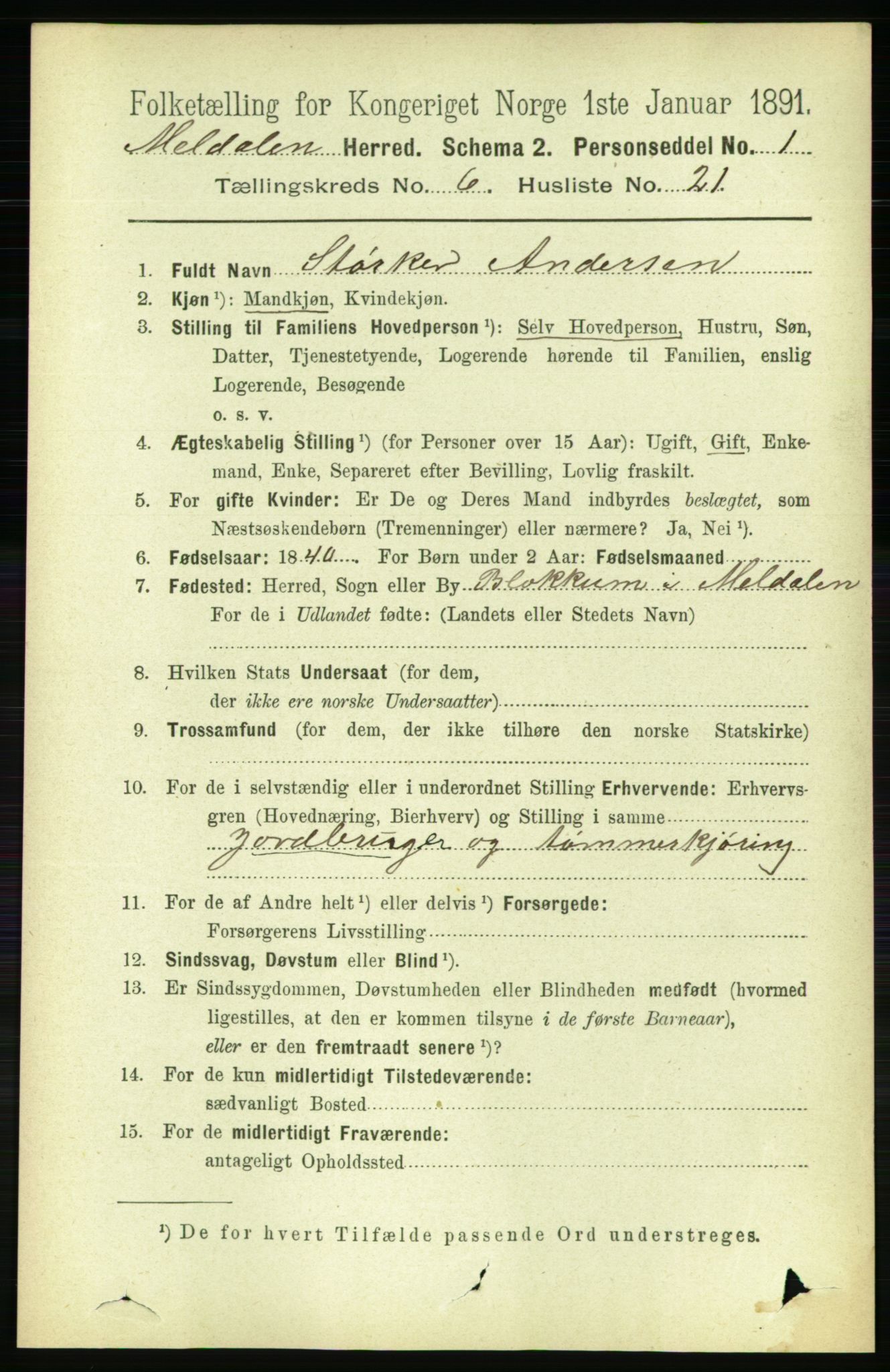 RA, 1891 census for 1636 Meldal, 1891, p. 2998