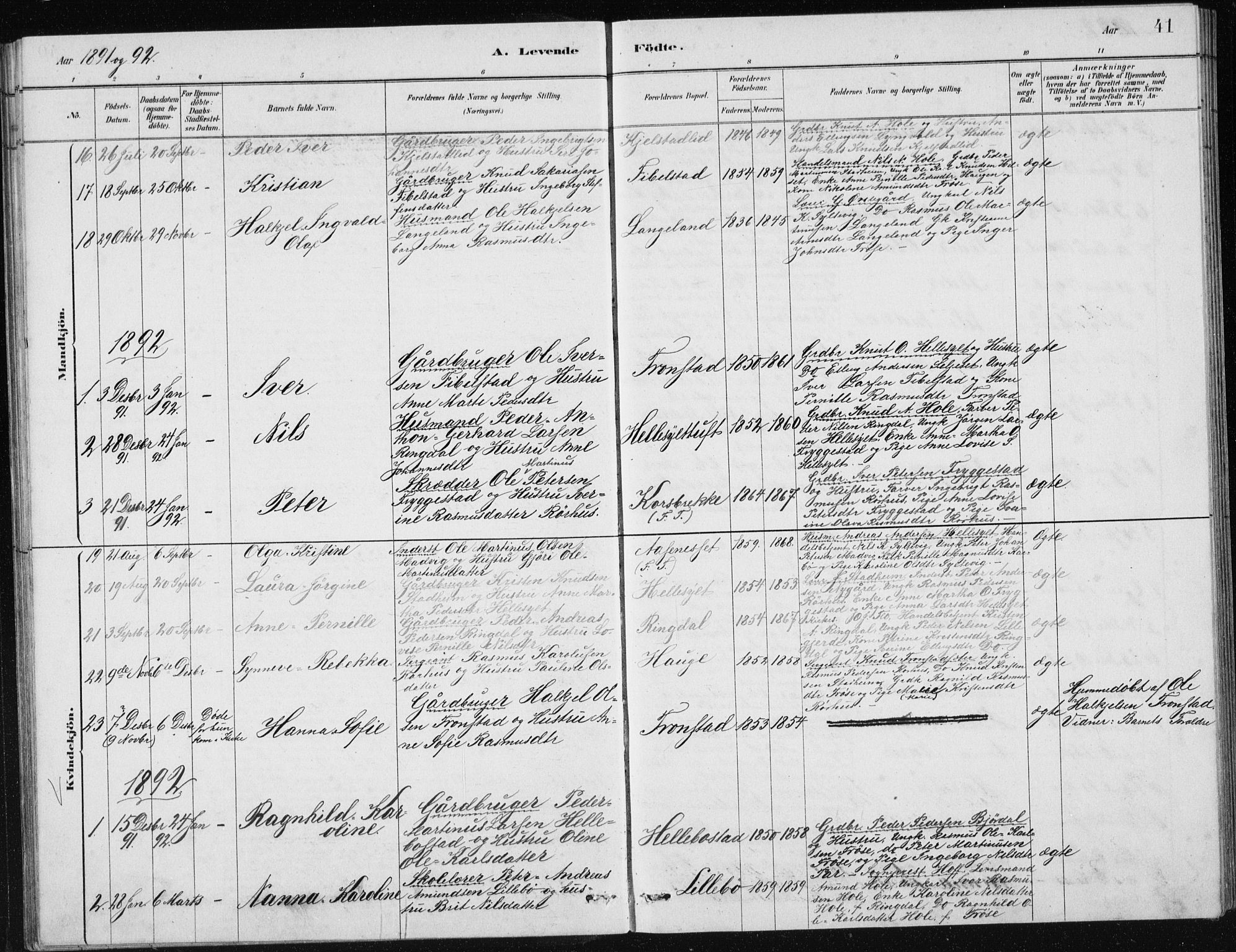 Ministerialprotokoller, klokkerbøker og fødselsregistre - Møre og Romsdal, SAT/A-1454/517/L0230: Parish register (copy) no. 517C03, 1879-1912, p. 41