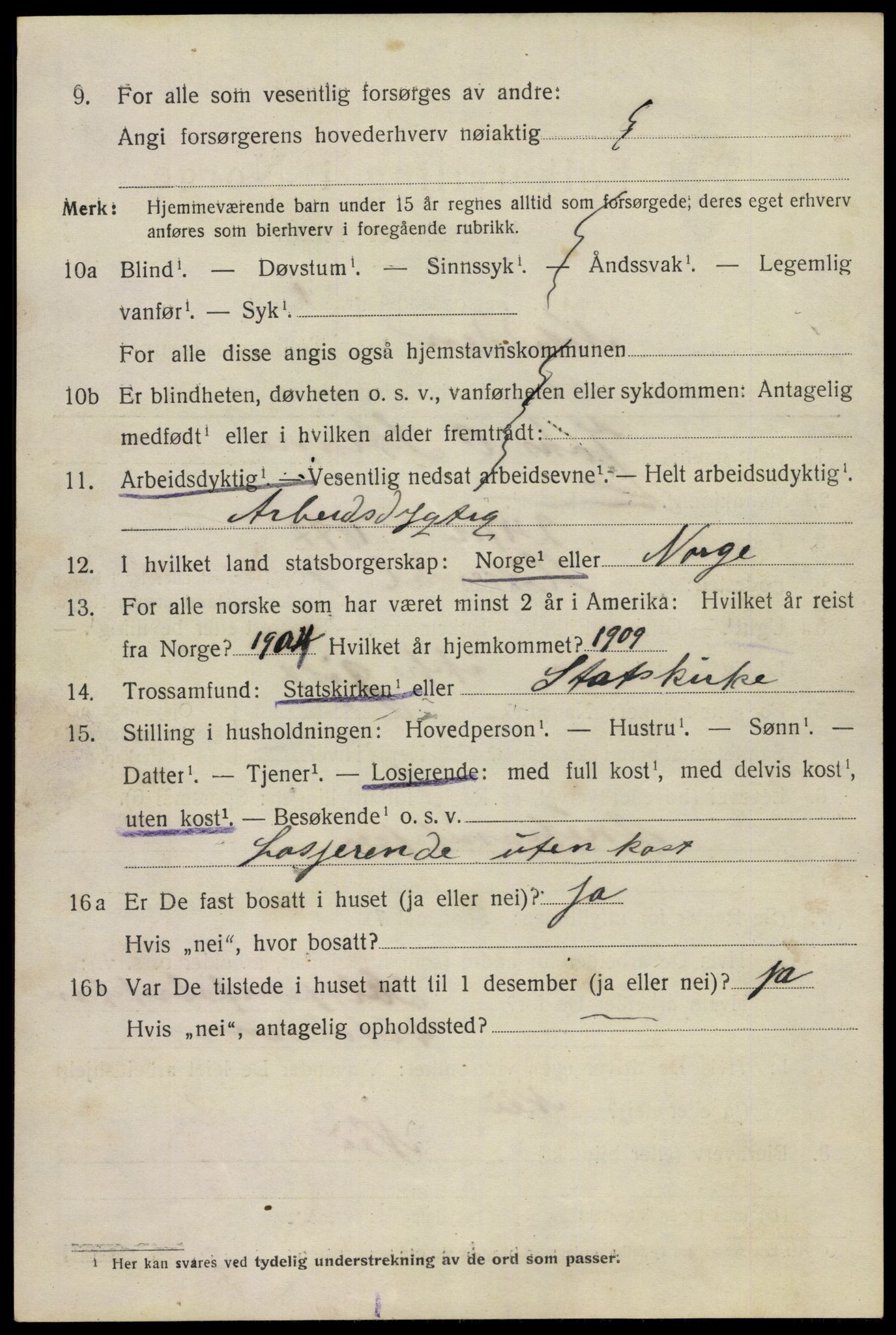 SAKO, 1920 census for Notodden, 1920, p. 6915