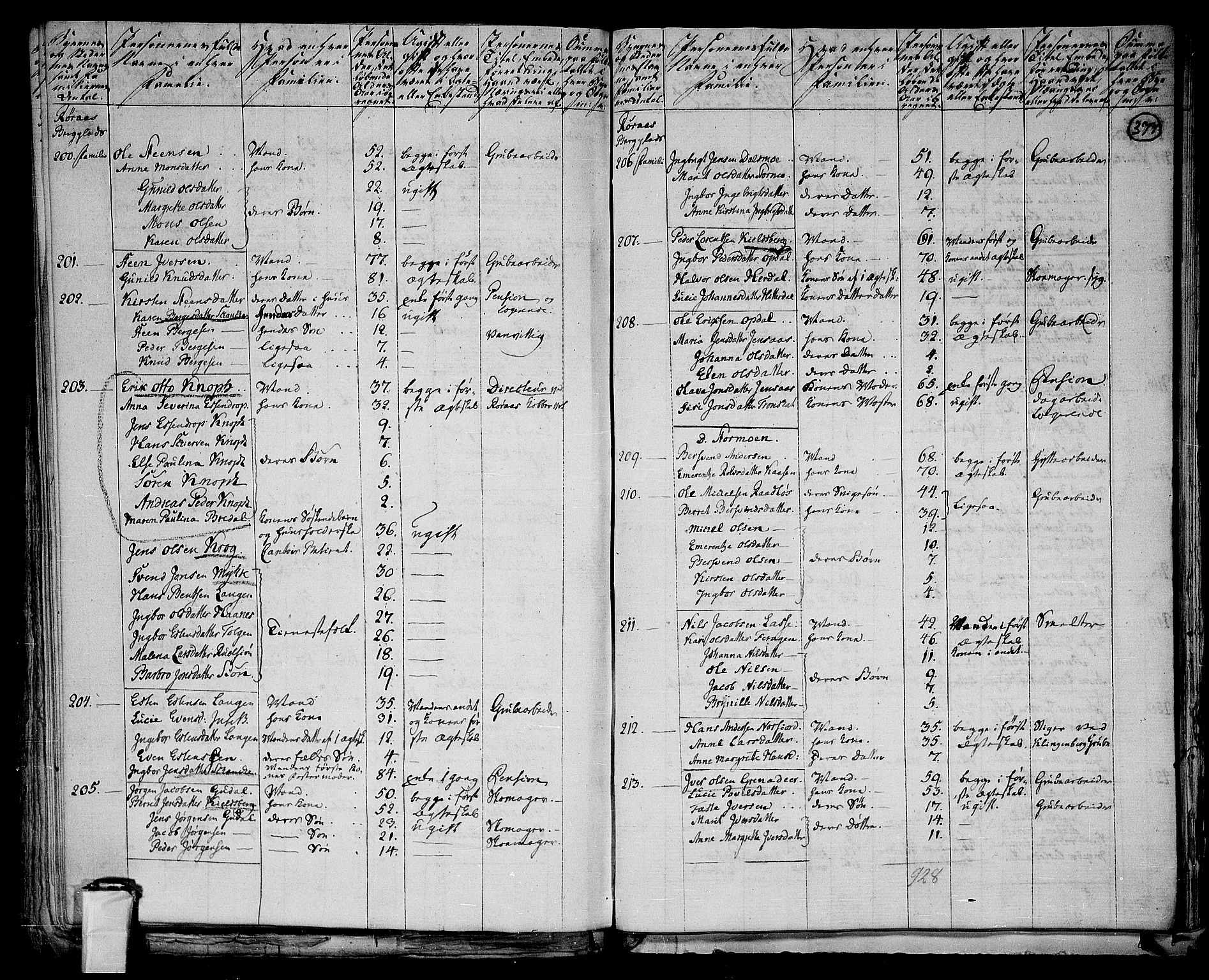 RA, 1801 census for 1640P Røros, 1801, p. 376b-377a