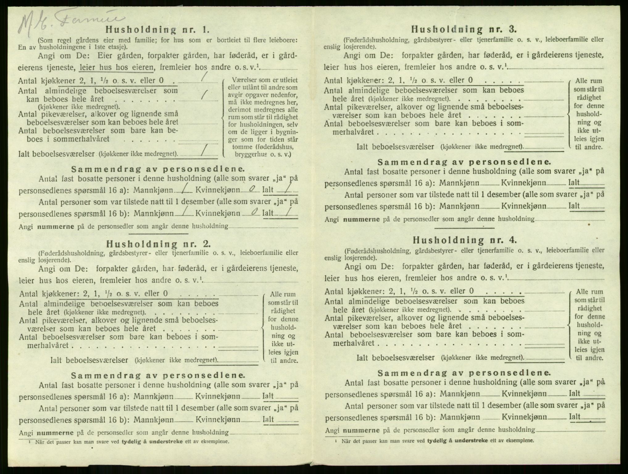 SAKO, 1920 census for Våle, 1920, p. 58