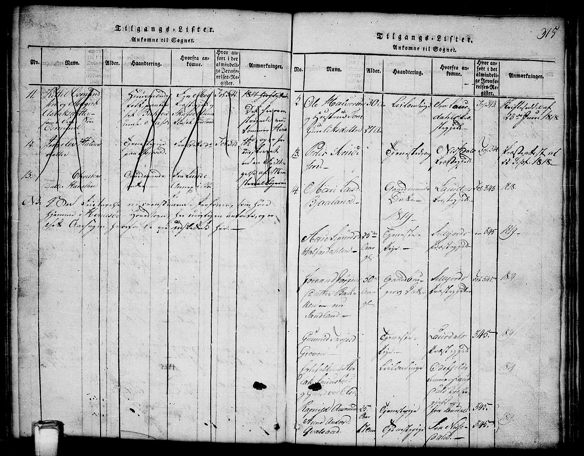 Kviteseid kirkebøker, SAKO/A-276/G/Gb/L0001: Parish register (copy) no. II 1, 1815-1842, p. 315