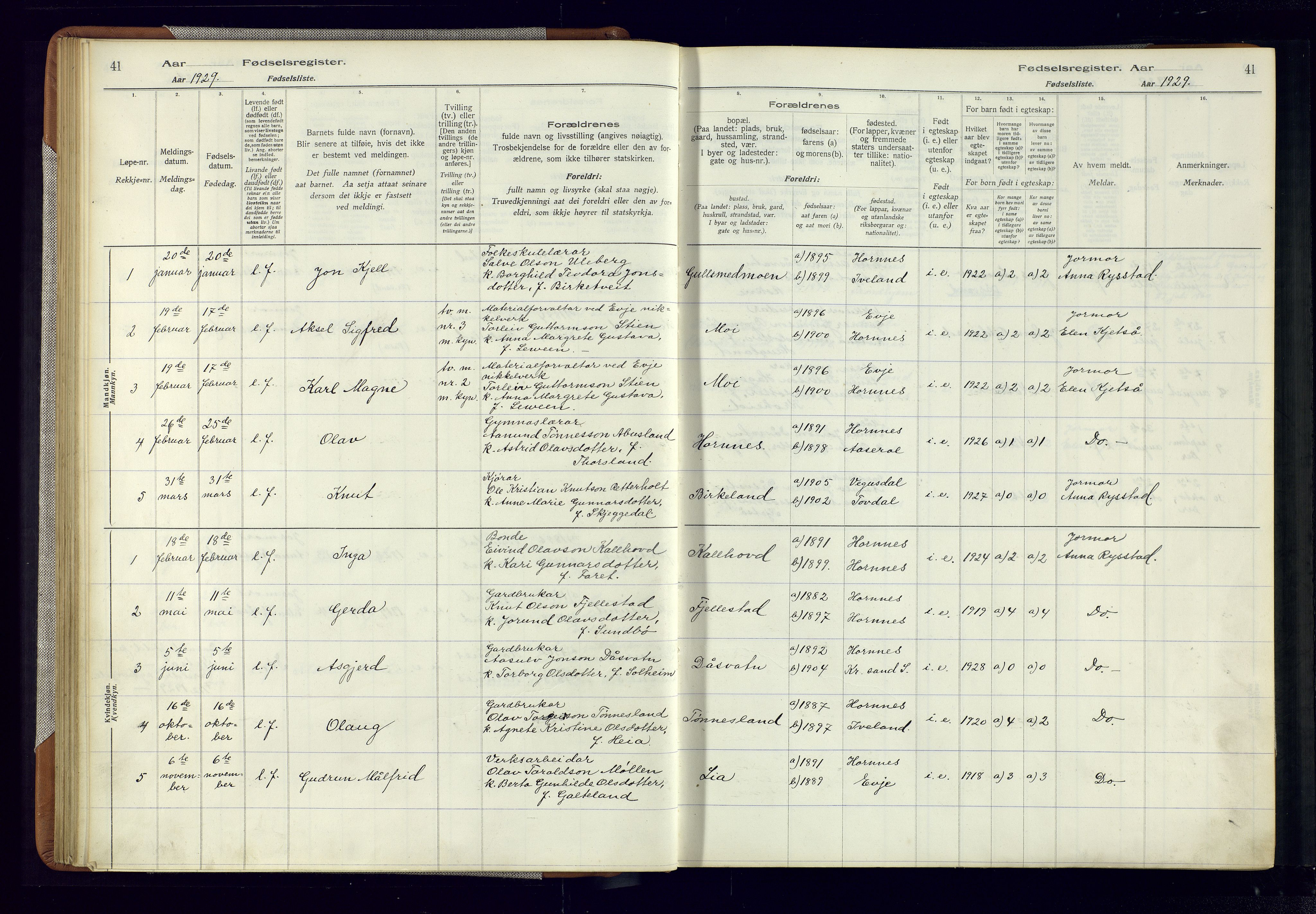 Evje sokneprestkontor, AV/SAK-1111-0008/J/Jc/L0006: Birth register no. 6, 1916-1982, p. 41